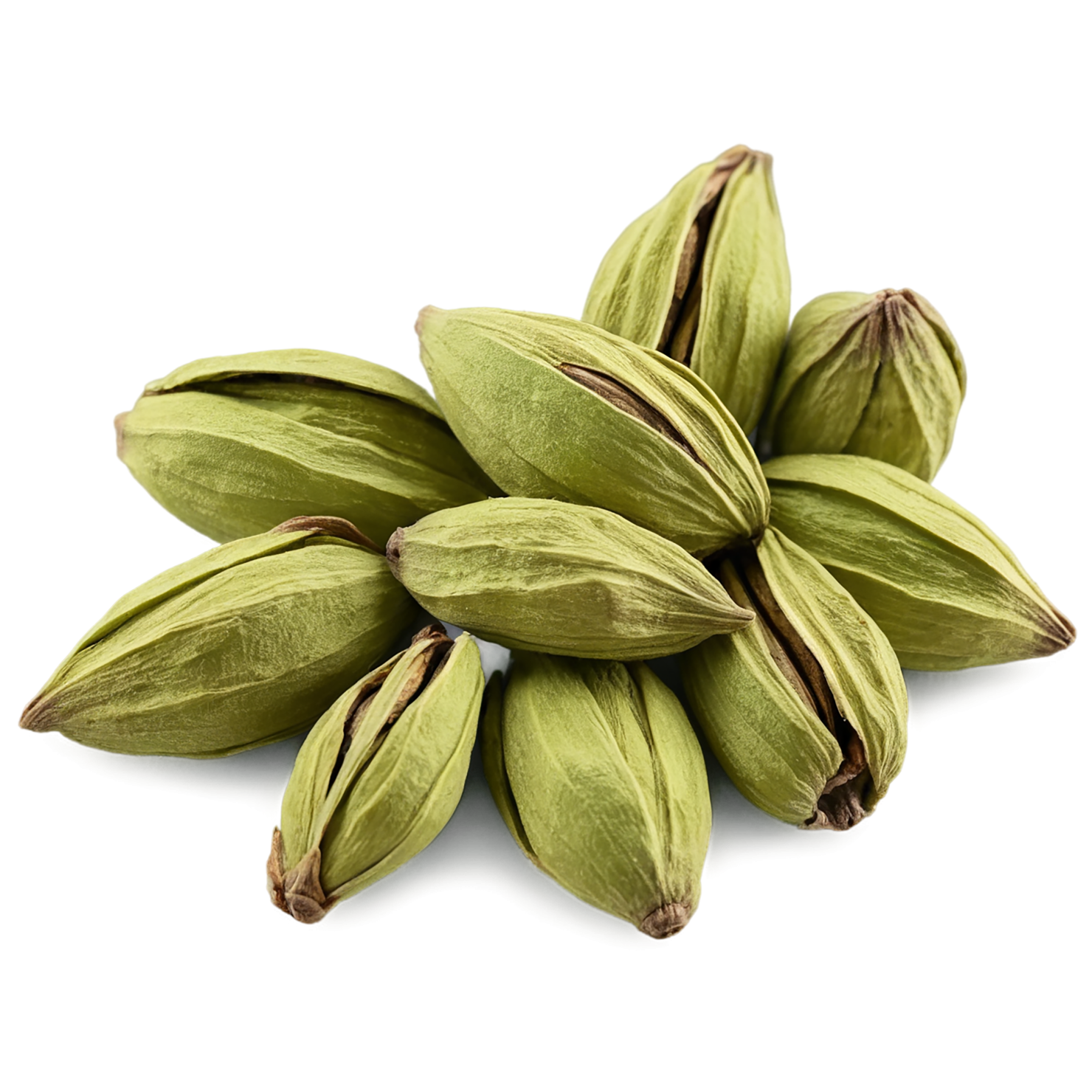 Cardamom spices isolated on transparent background #9550