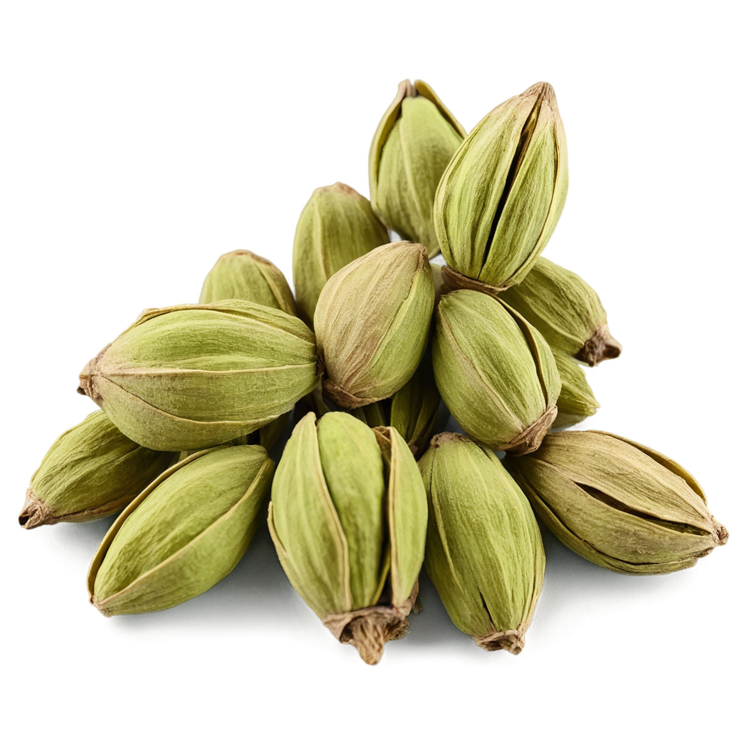 Cardamom spices isolated on transparent background #9552