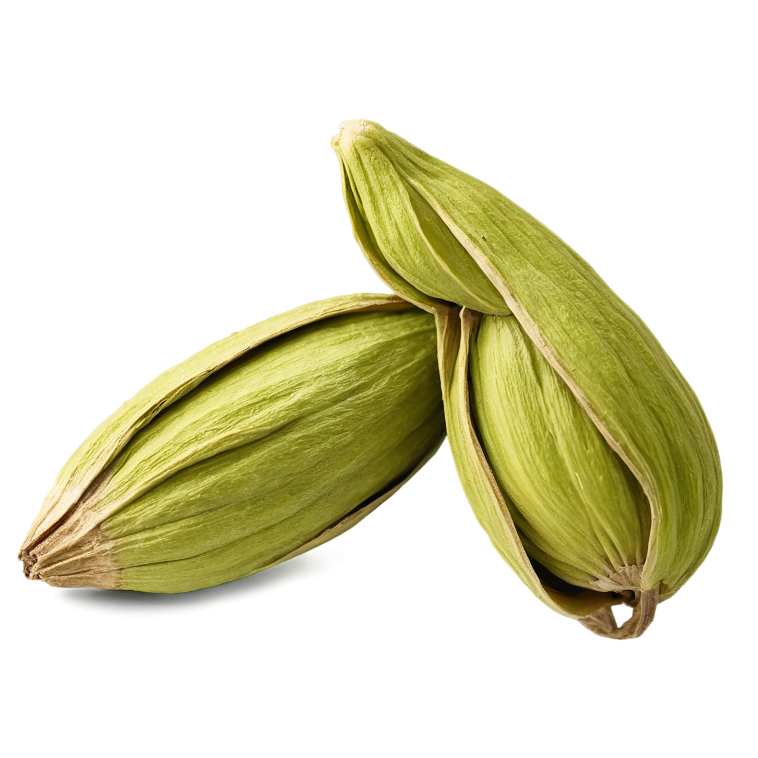 Cardamom spices isolated on transparent background #9553
