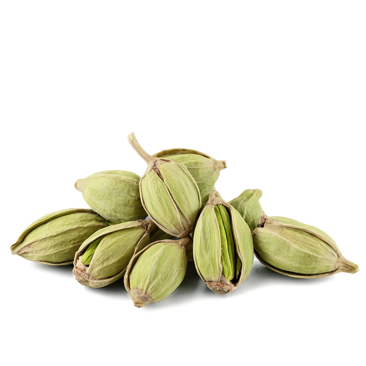 Cardamom spices isolated on transparent background #9554