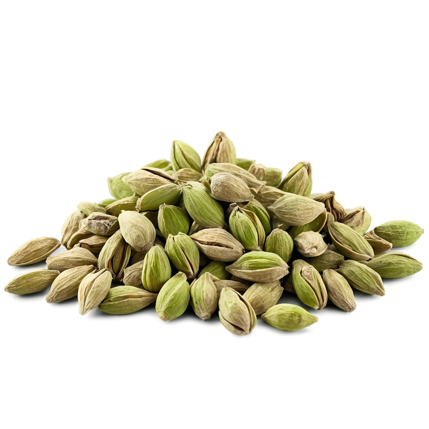 Cardamom spices isolated on transparent background #9558