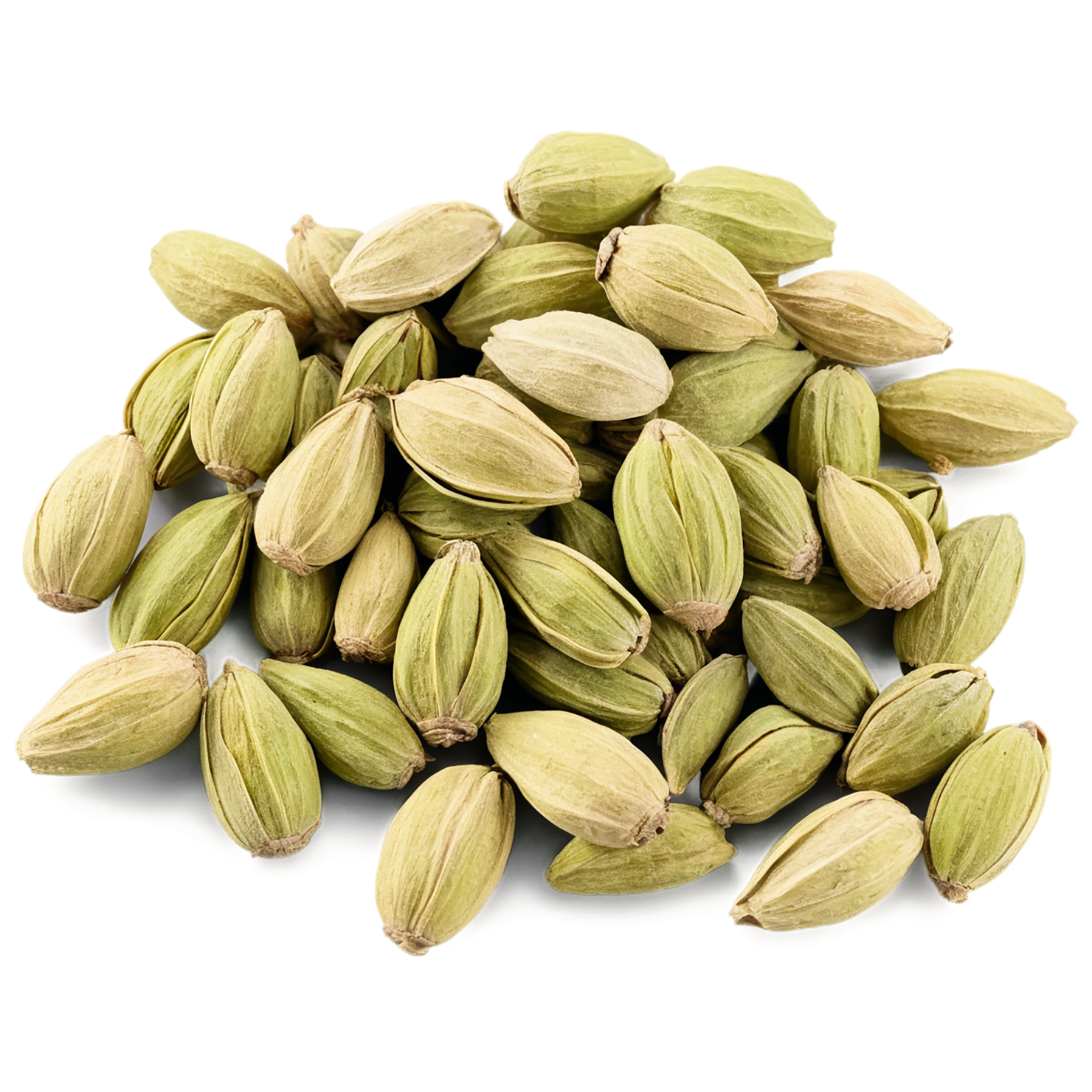 Cardamom spices isolated on transparent background #9559