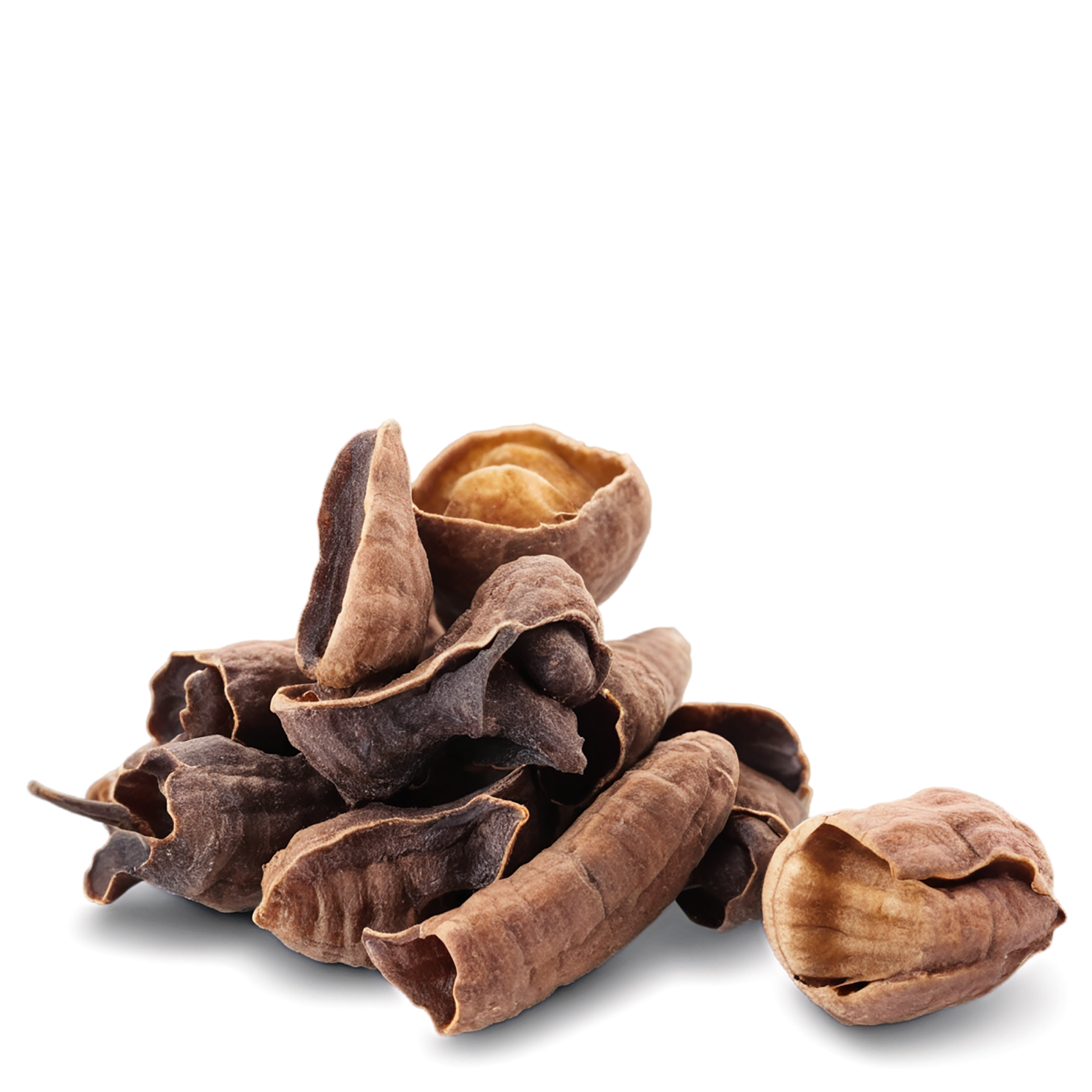 Cloves spices isolated on transparent background #9646