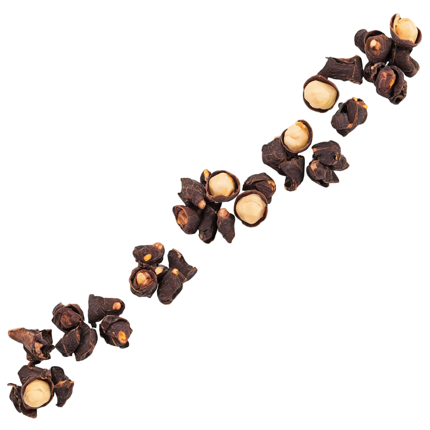 Cloves spices isolated on transparent background #9655