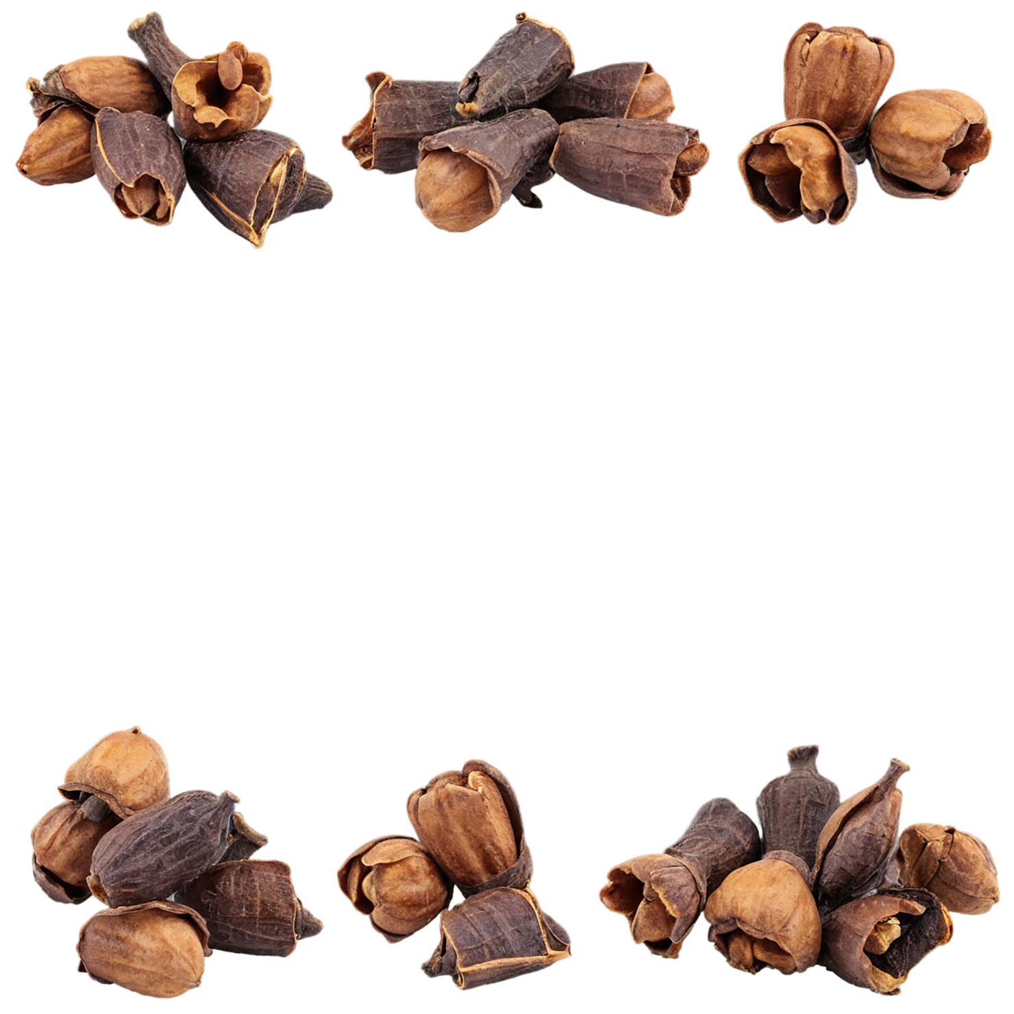 Cloves spices isolated on transparent background #9659