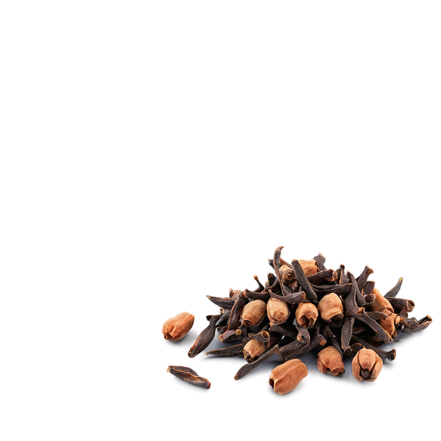 Cloves spices isolated on transparent background #9667
