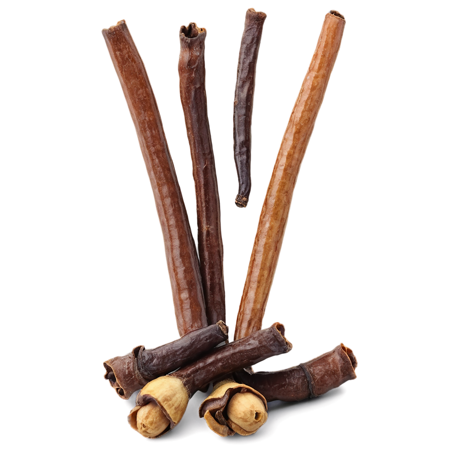 Cloves spices isolated on transparent background #9668