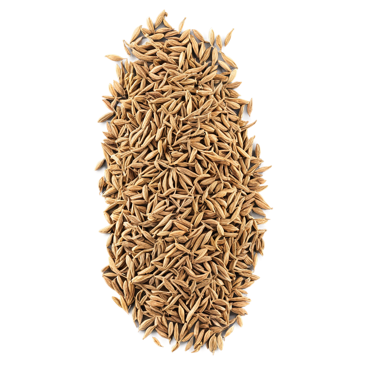 Cumin spices isolated on transparent background #9707