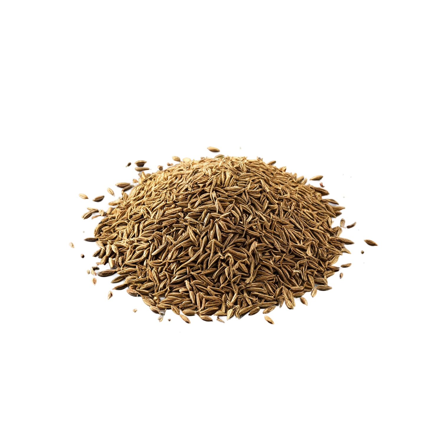 Cumin spices isolated on transparent background #9709