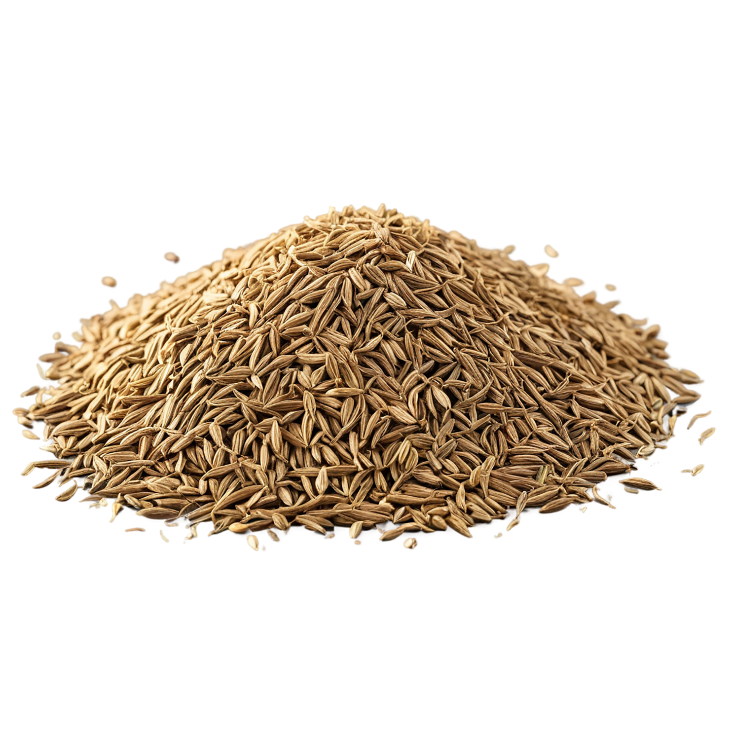 Cumin spices isolated on transparent background #9710
