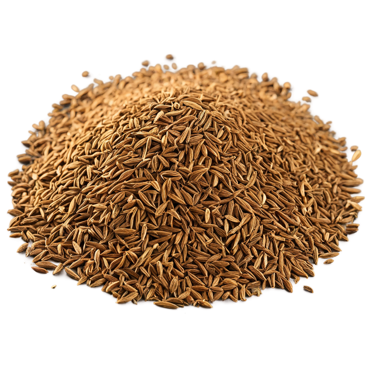Cumin spices isolated on transparent background #9712