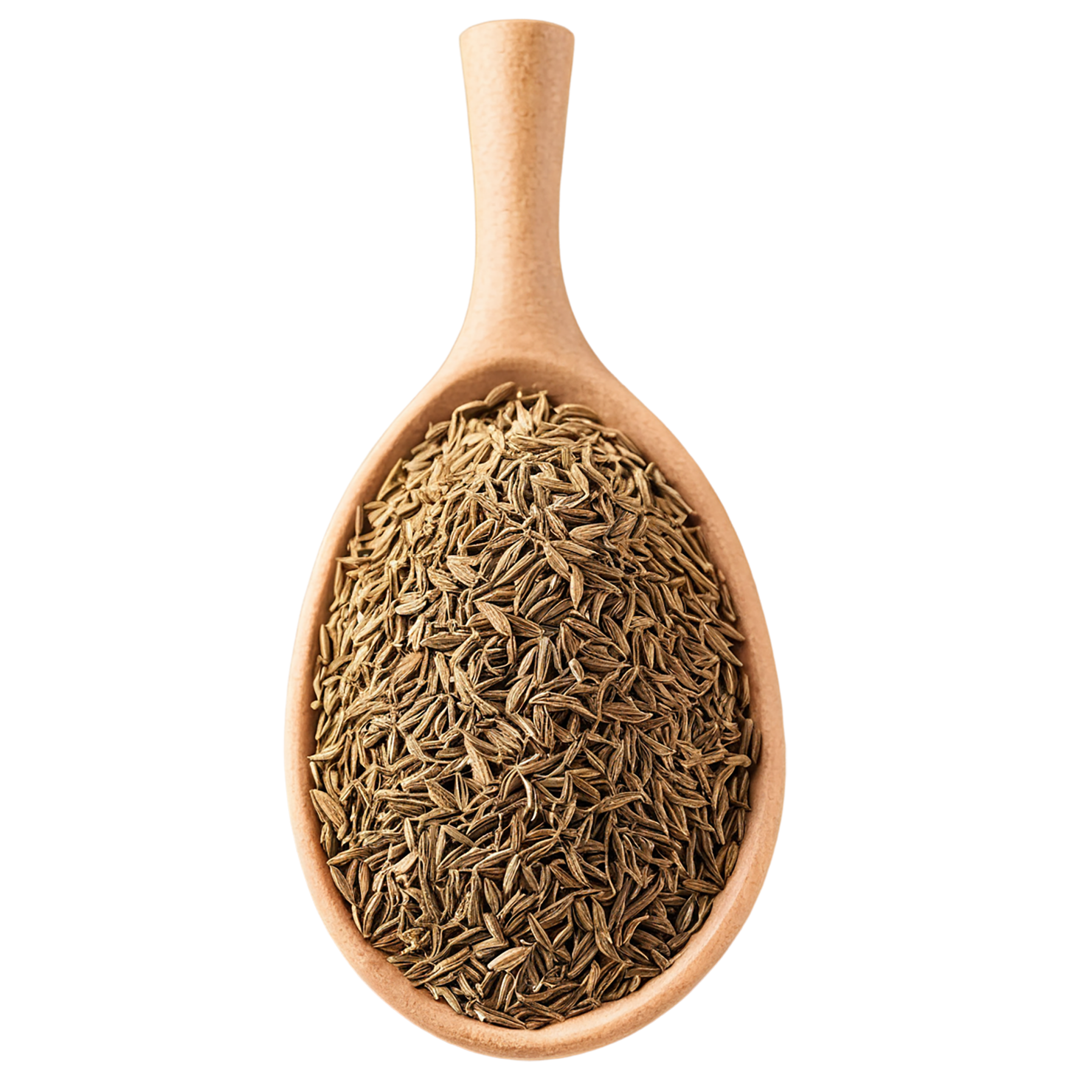 Cumin spices isolated on transparent background #9713