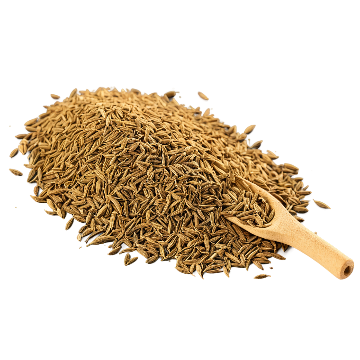 Cumin spices isolated on transparent background #9716