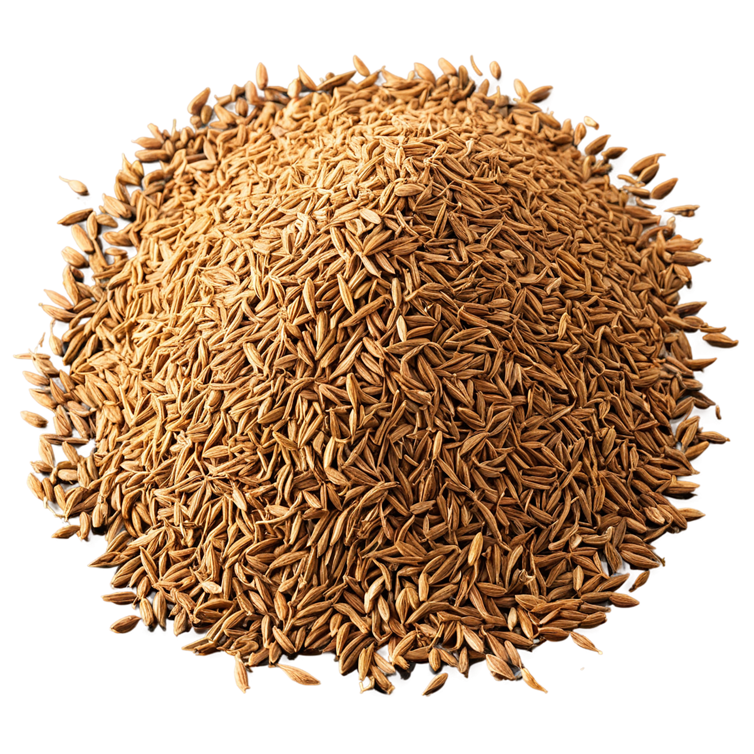Cumin spices isolated on transparent background #9718