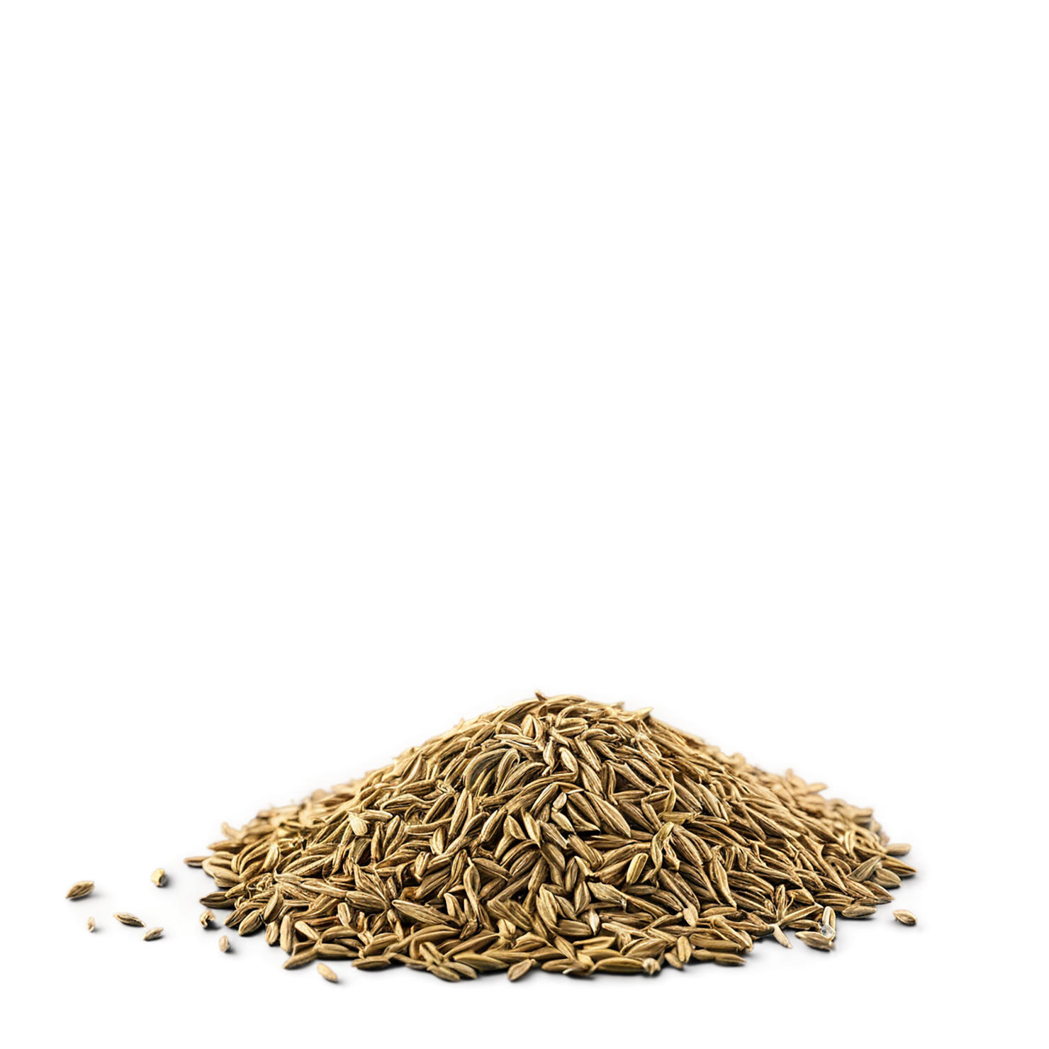 Cumin spices isolated on transparent background #9720