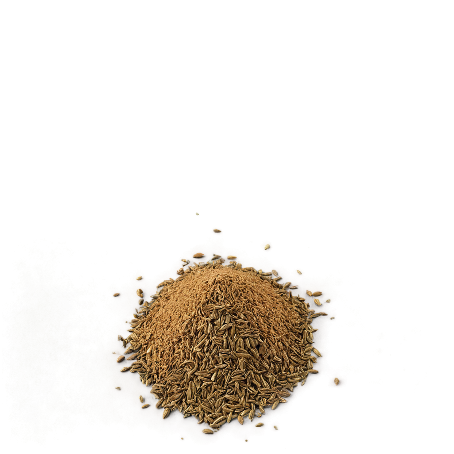 Cumin spices isolated on transparent background #9721