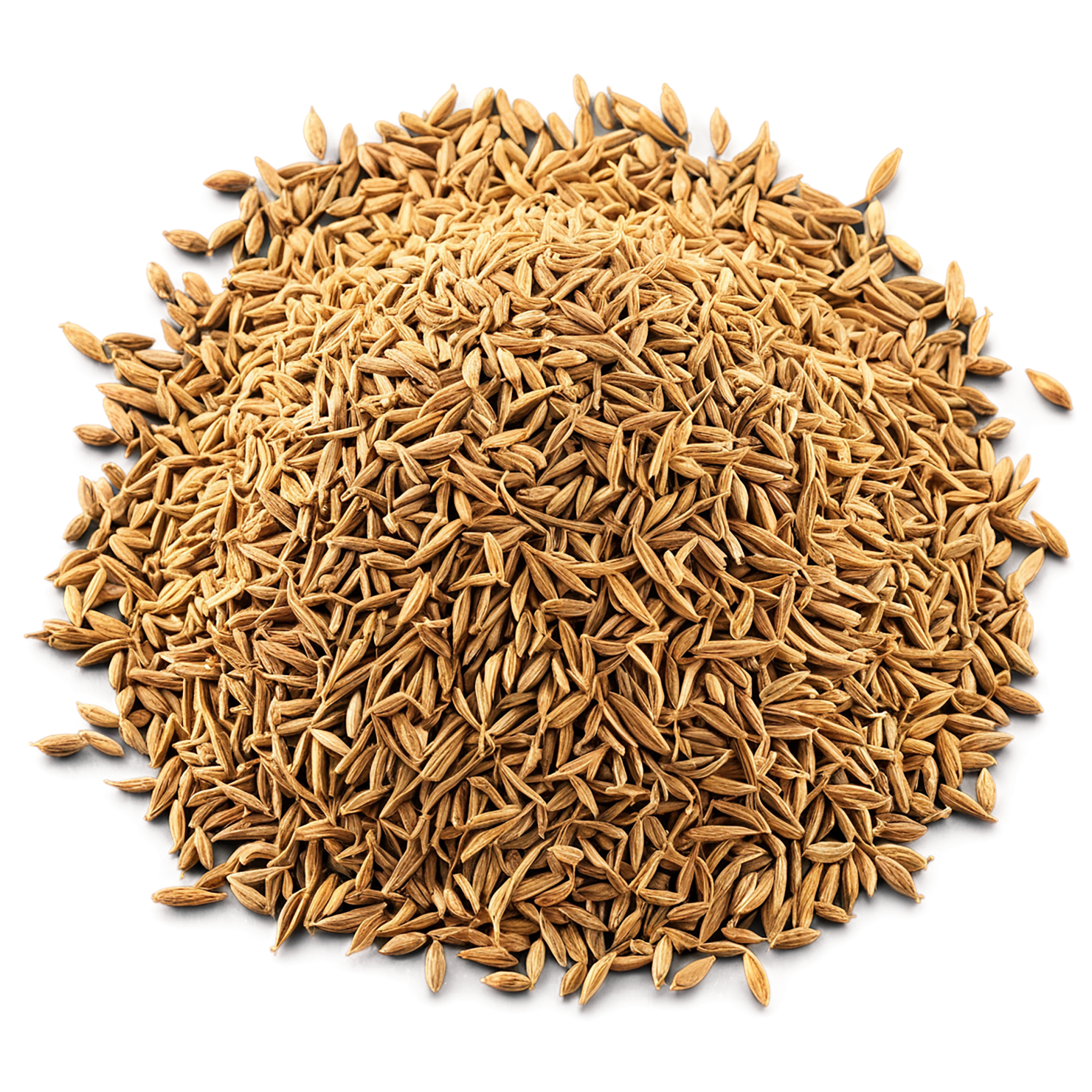 Cumin spices isolated on transparent background #9723