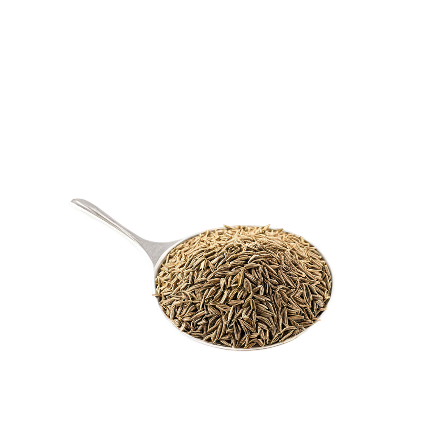 Cumin spices isolated on transparent background #9724