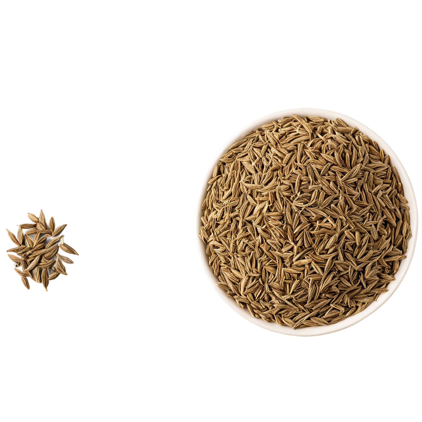 Cumin spices isolated on transparent background #9725