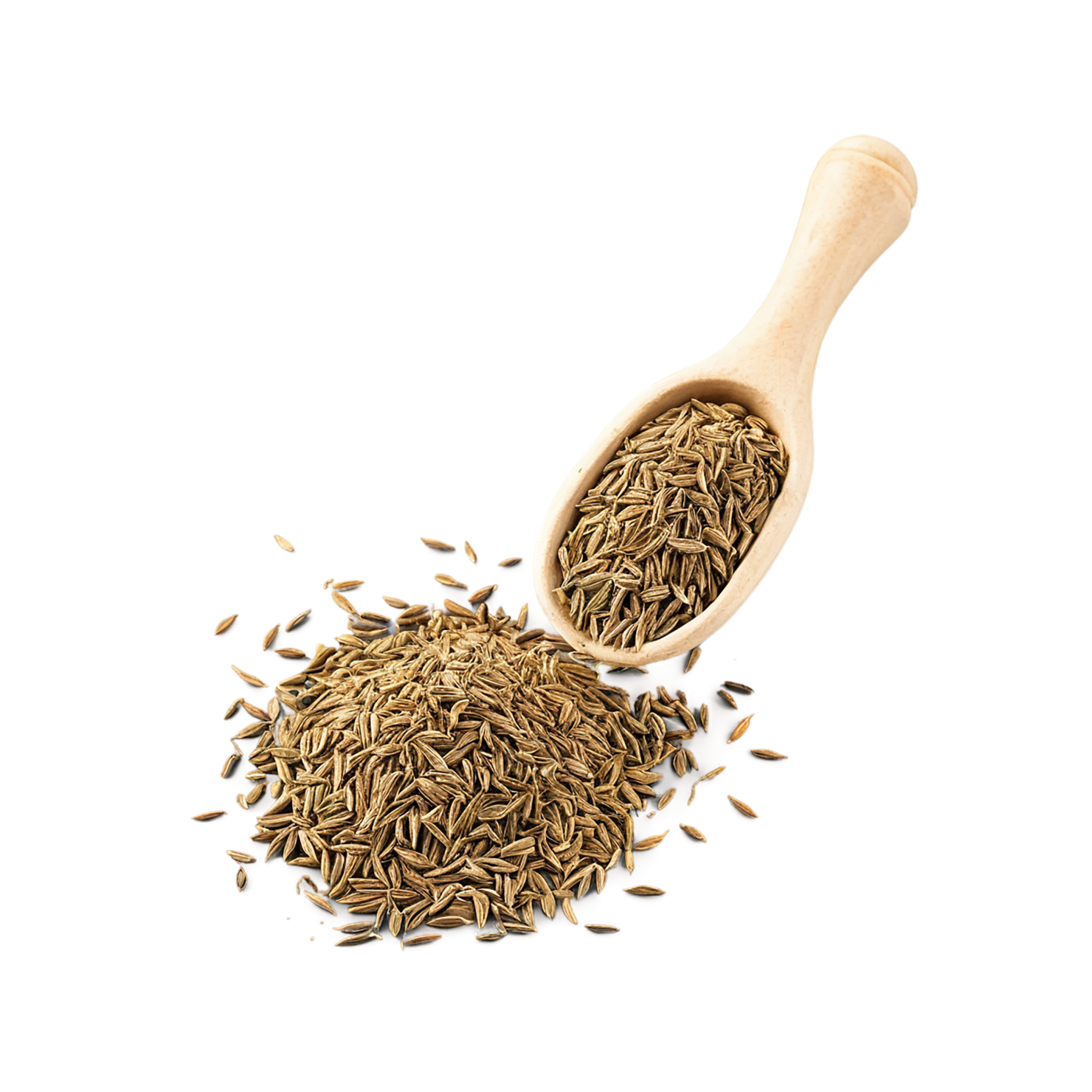 Cumin spices isolated on transparent background #9727