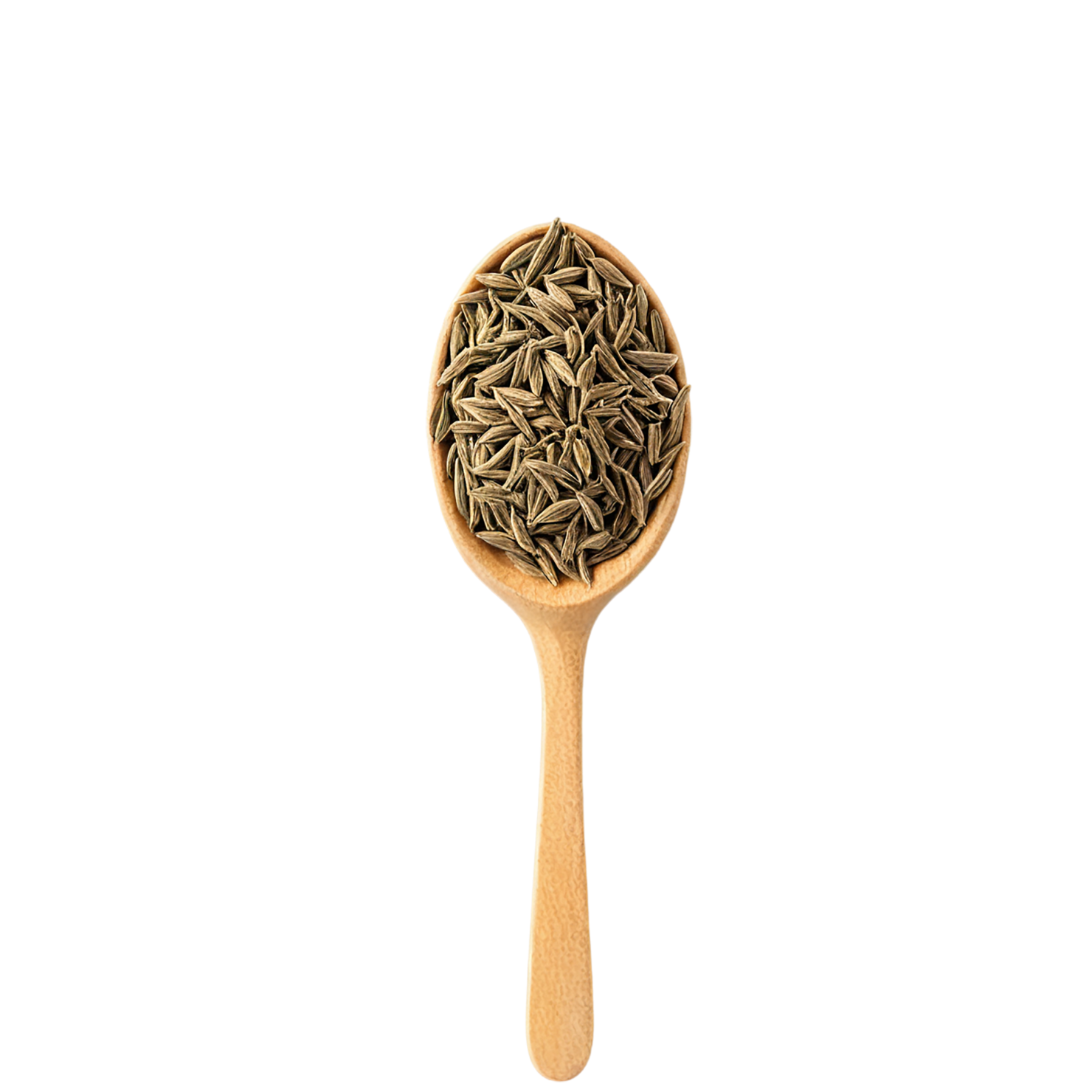 Cumin spices isolated on transparent background #9728