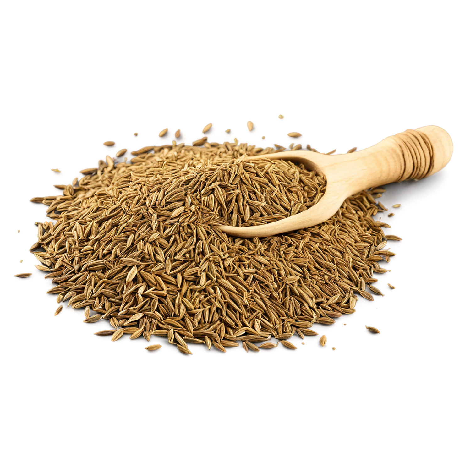 Cumin spices isolated on transparent background #9729