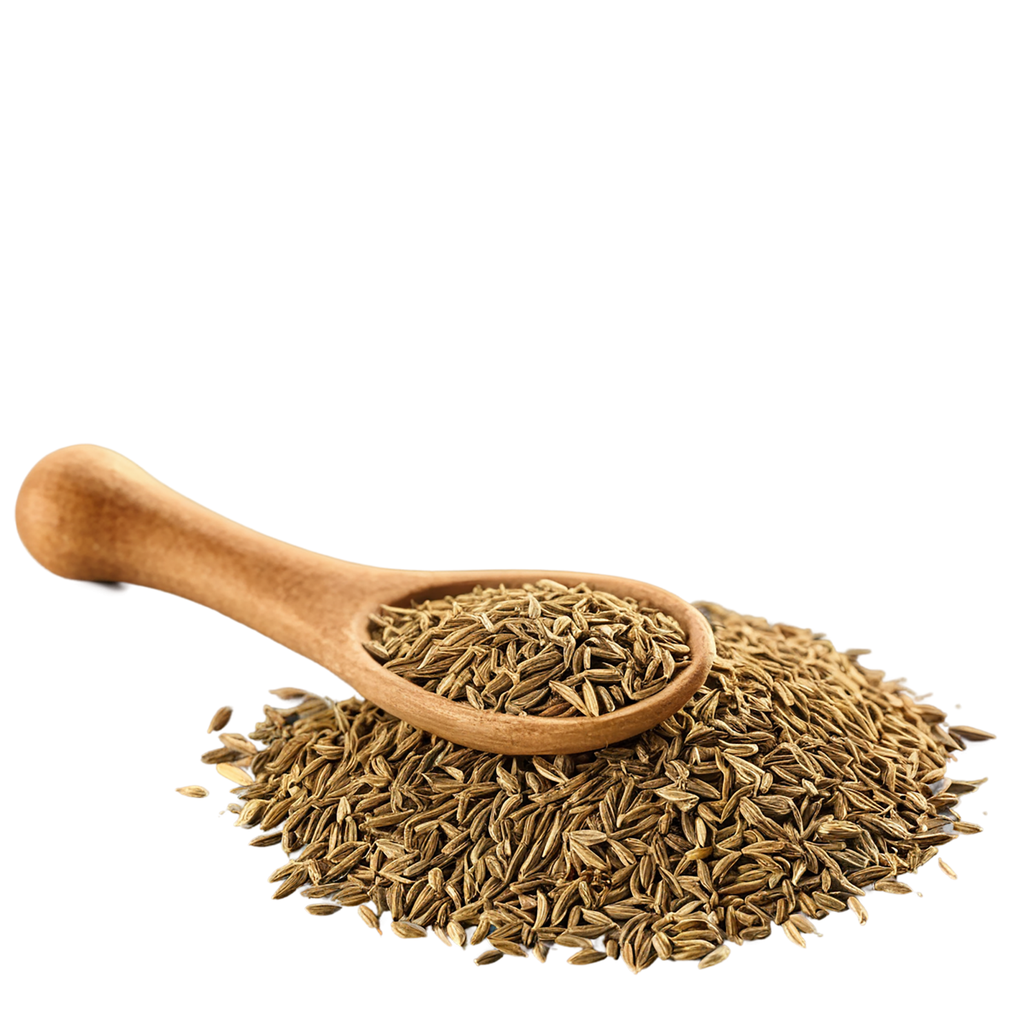 Cumin spices isolated on transparent background #9730