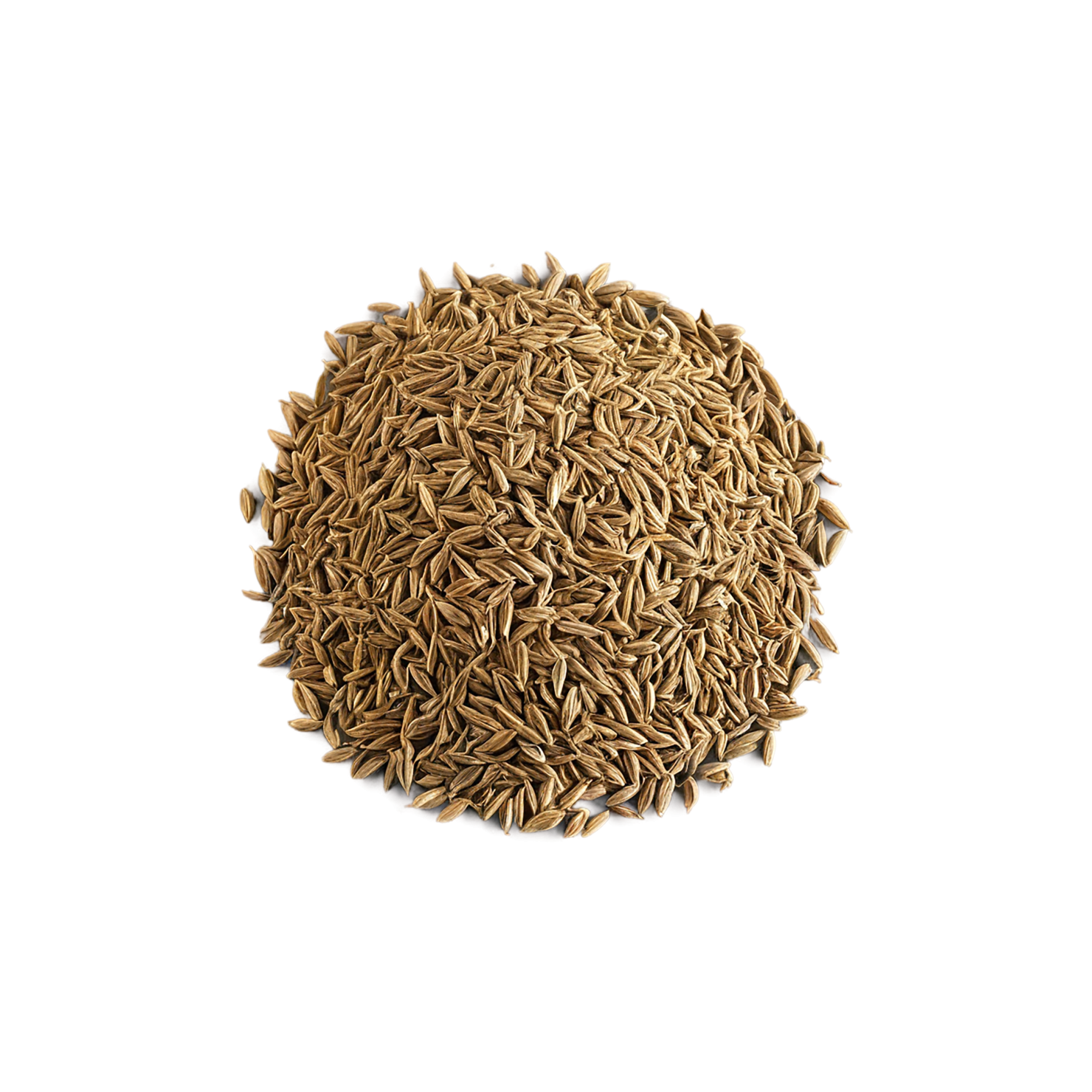 Cumin spices isolated on transparent background #9731