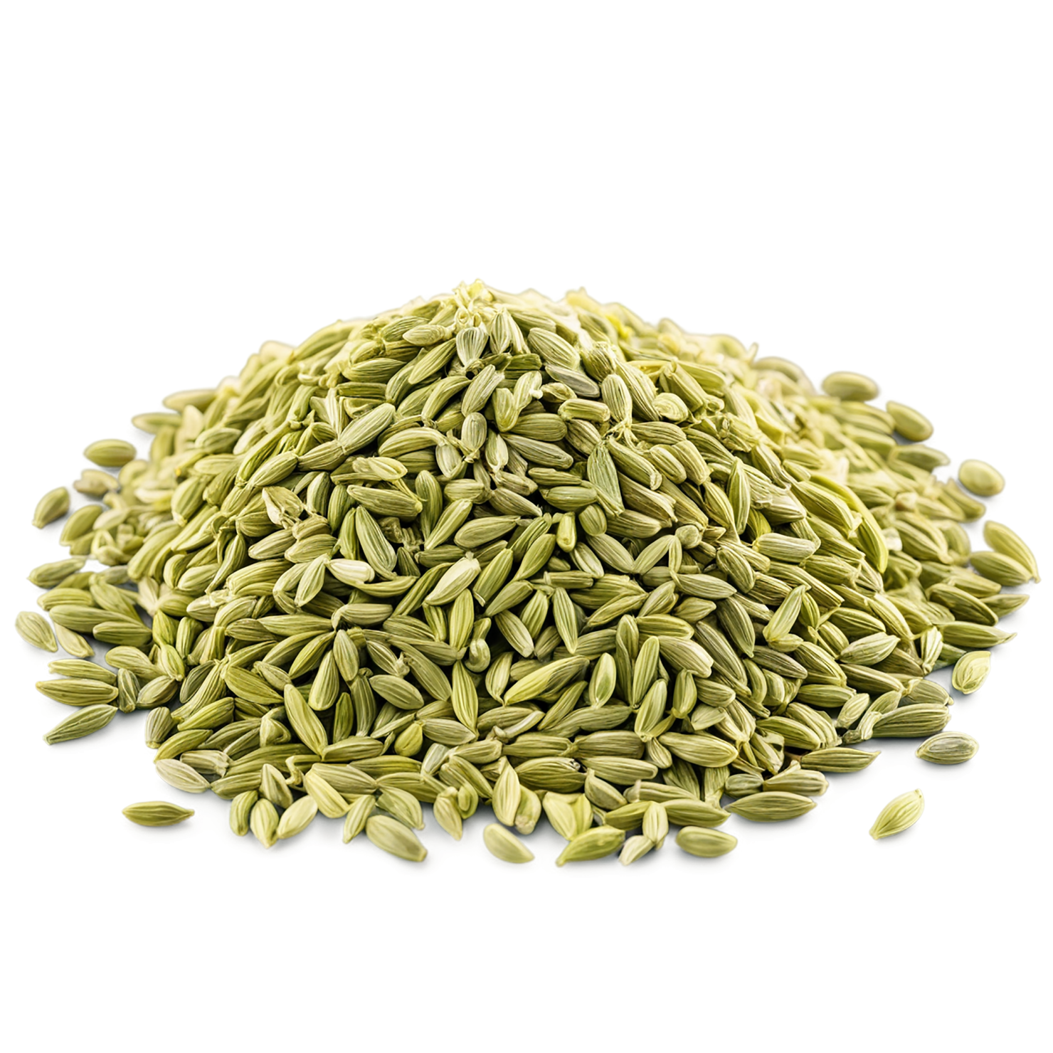 Fennel seeds spices isolated on transparent background #9759