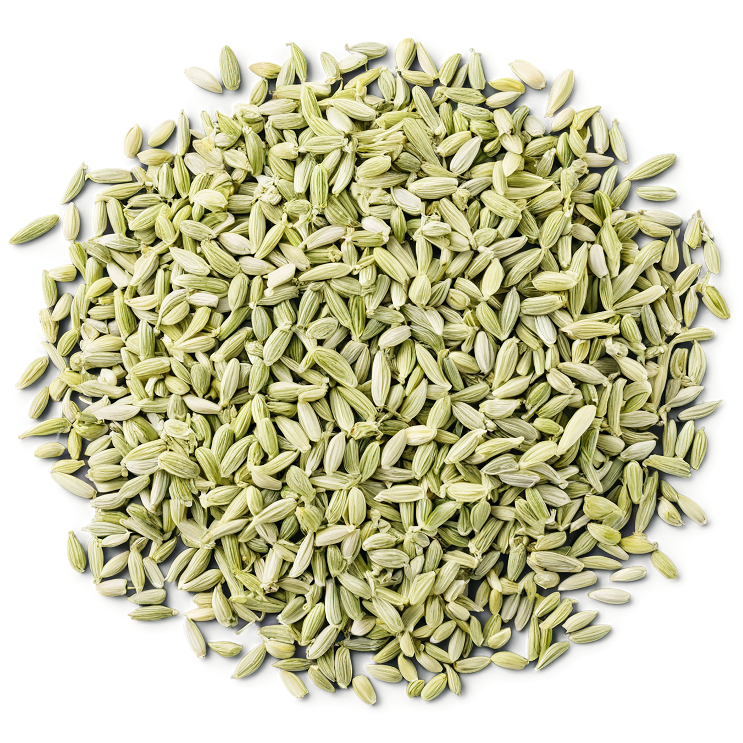 Fennel seeds spices isolated on transparent background #9760