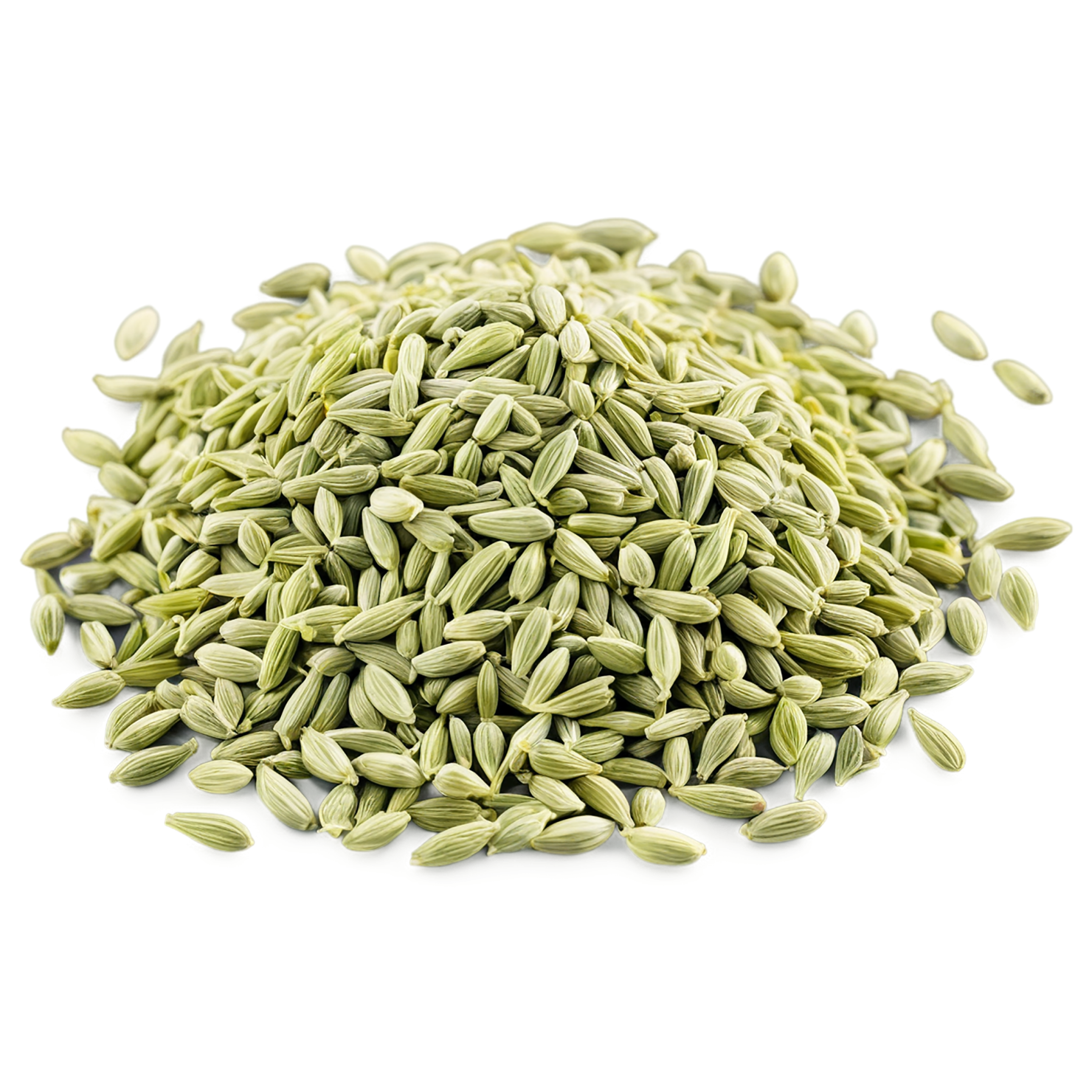 Fennel seeds spices isolated on transparent background #9761