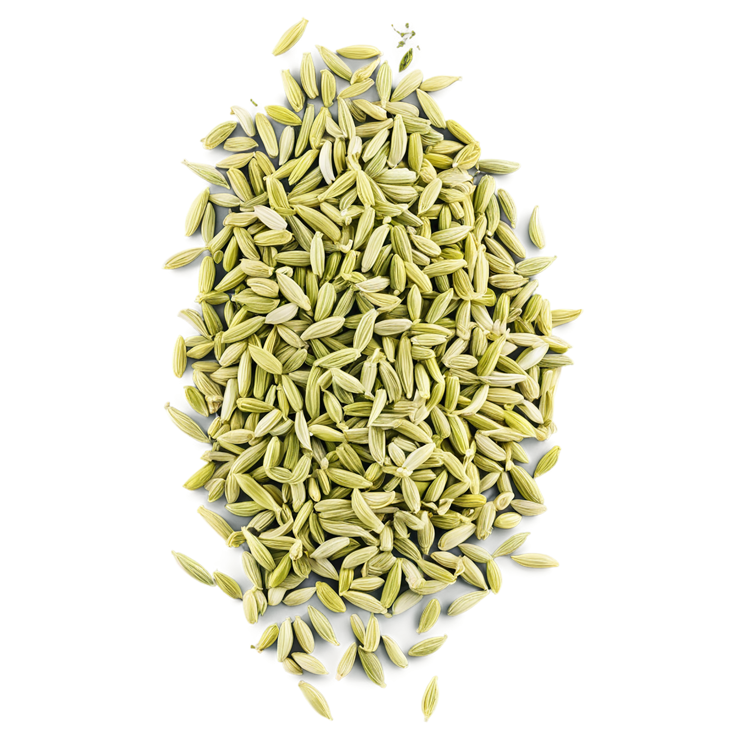 Fennel seeds spices isolated on transparent background #9763