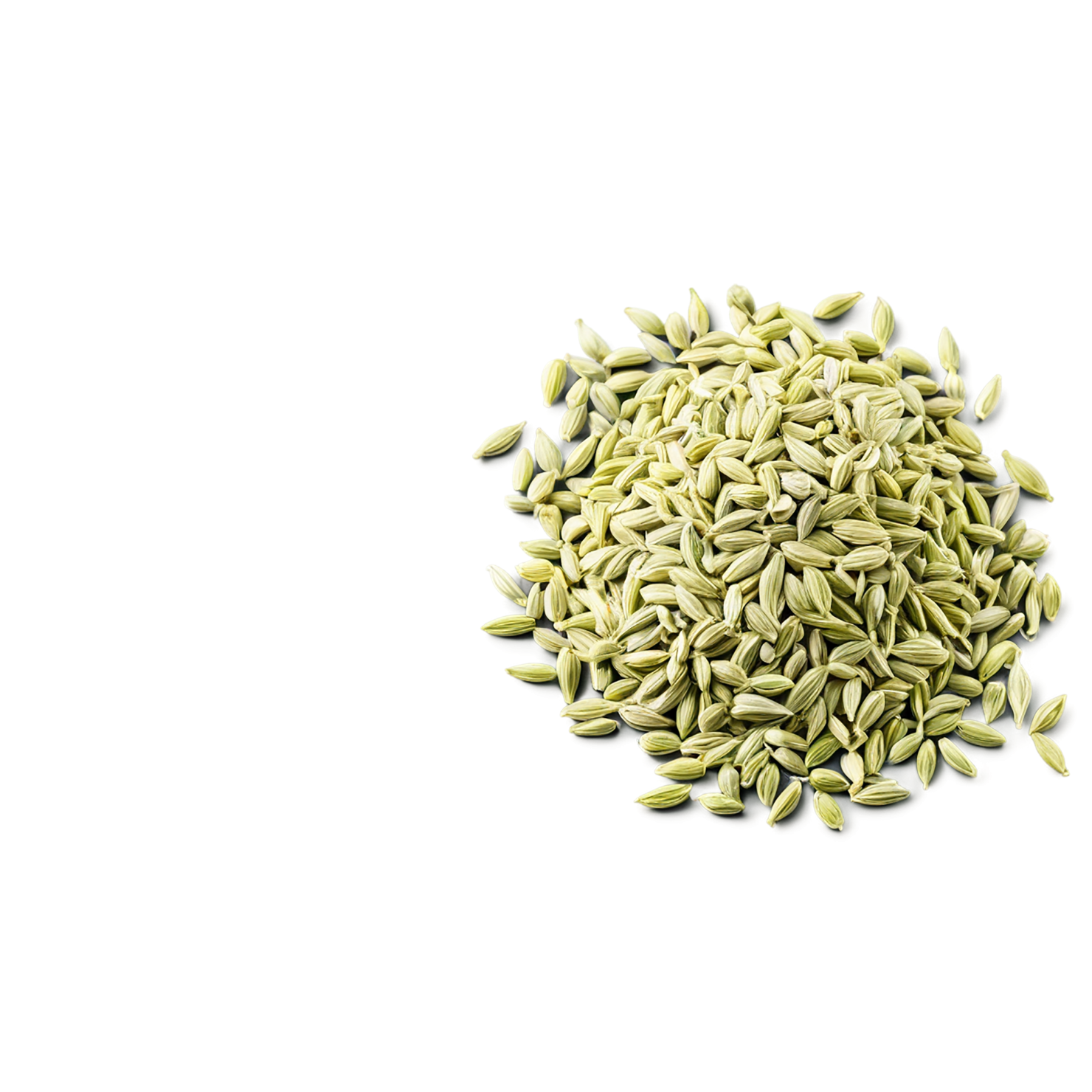 Fennel seeds spices isolated on transparent background #9764