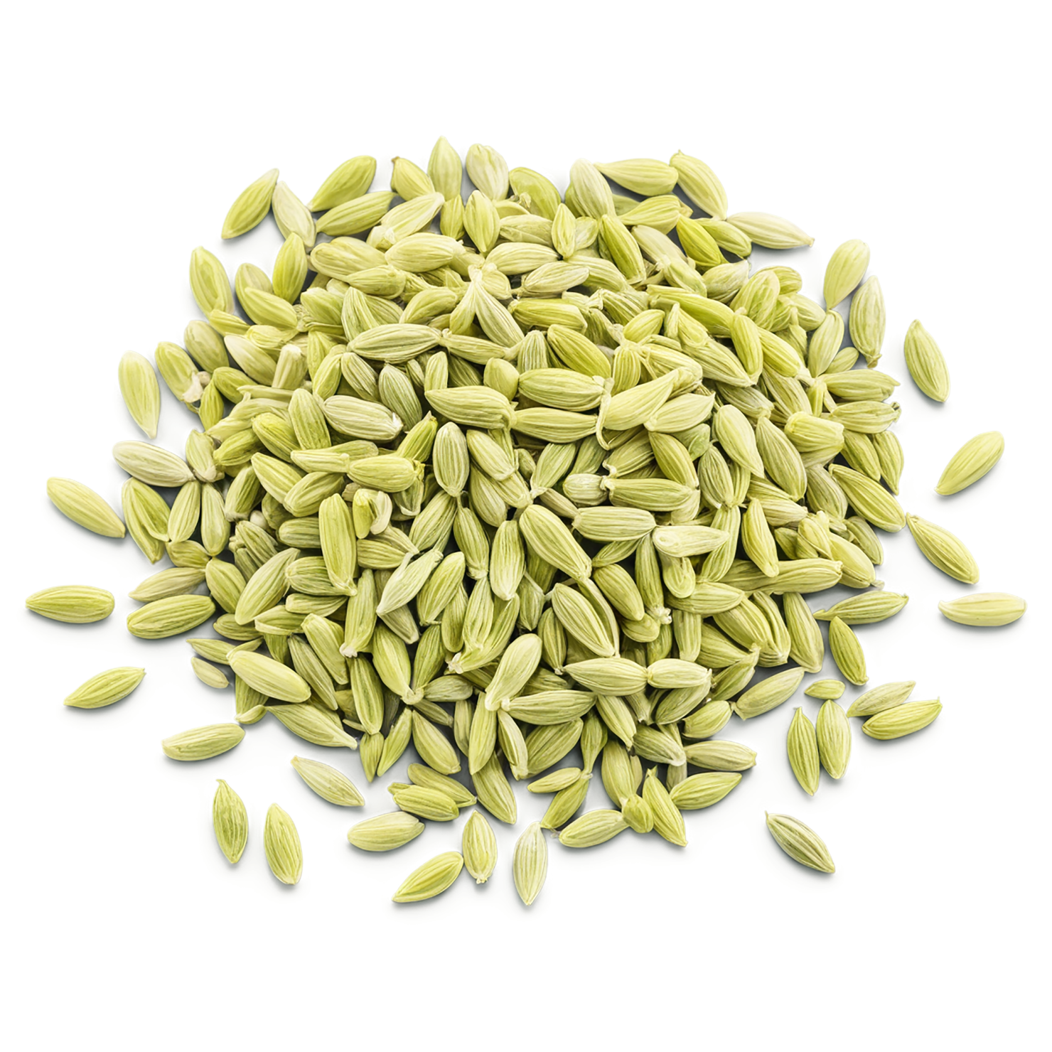 Fennel seeds spices isolated on transparent background #9765