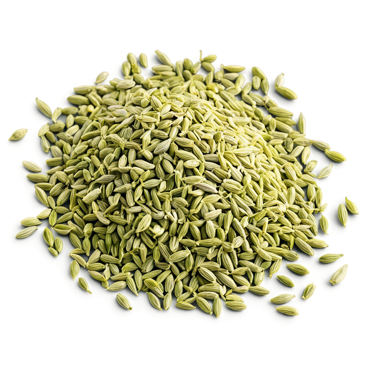 Fennel seeds spices isolated on transparent background #9766