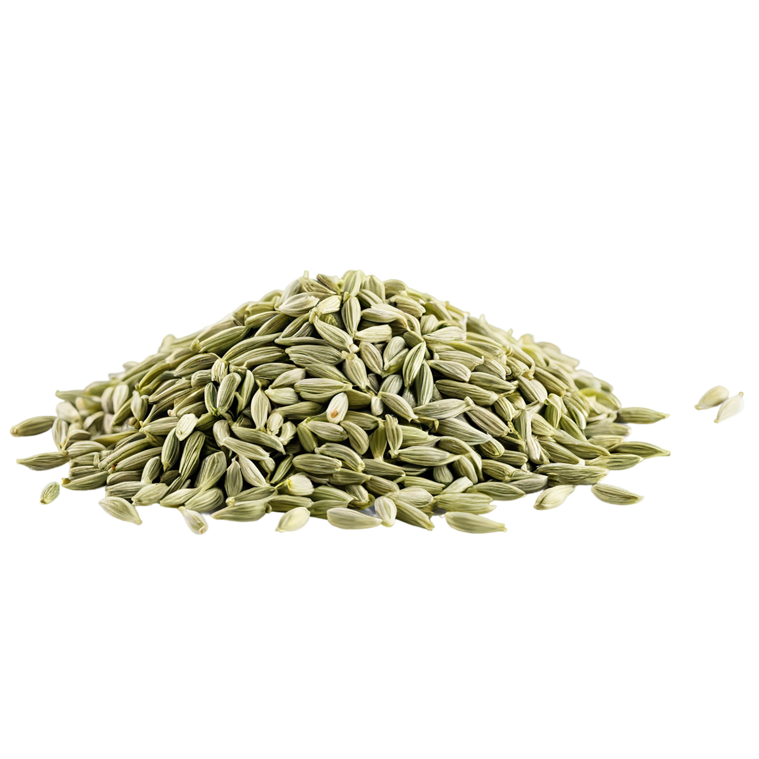 Fennel seeds spices isolated on transparent background #9767
