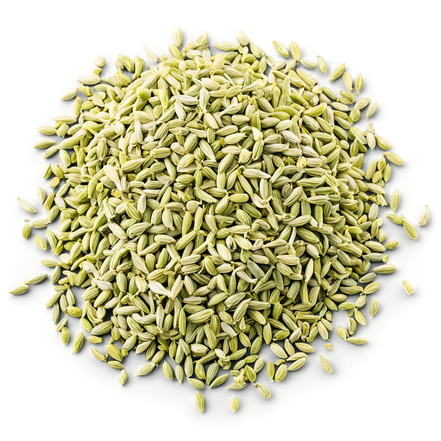 Fennel seeds spices isolated on transparent background #9768