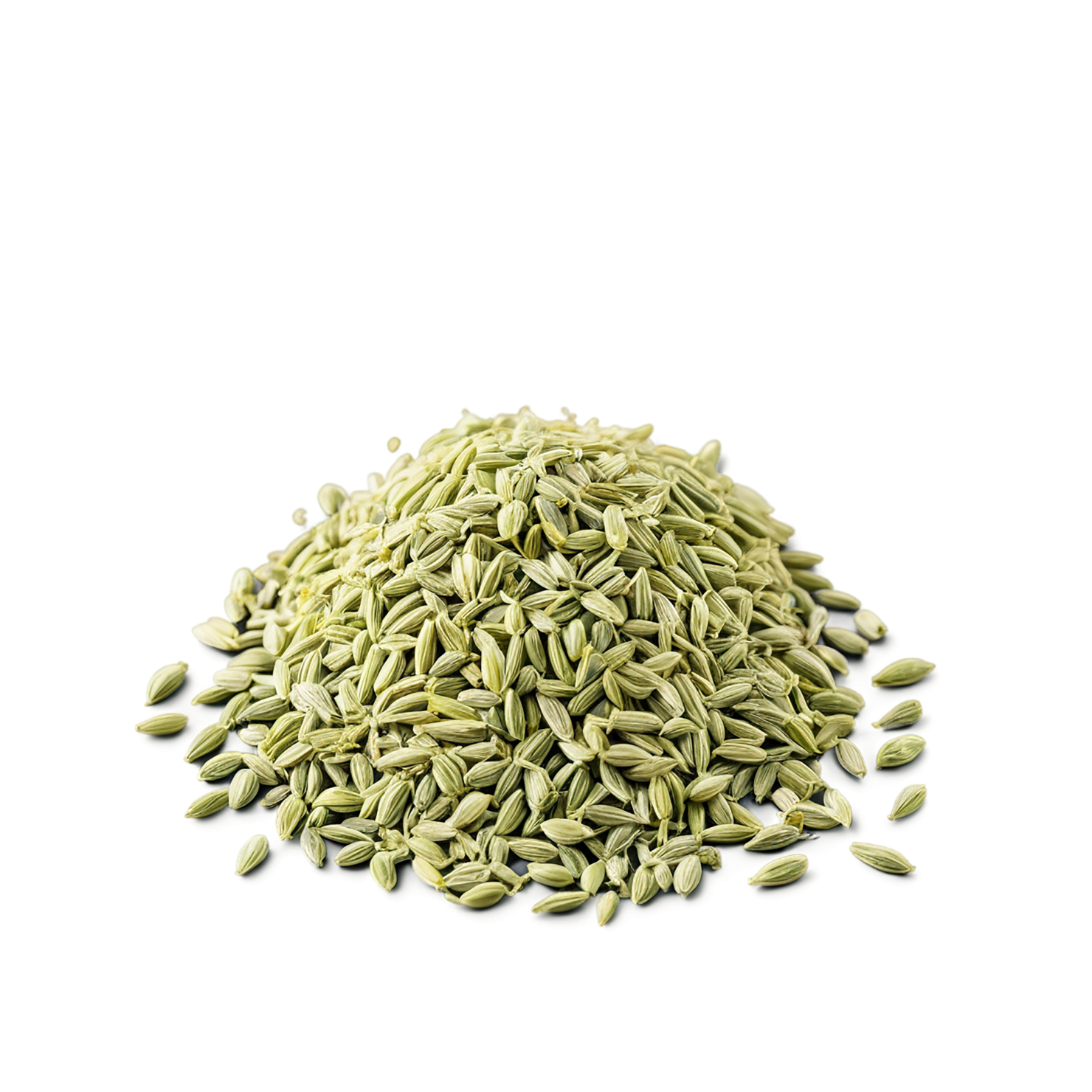 Fennel seeds spices isolated on transparent background #9769