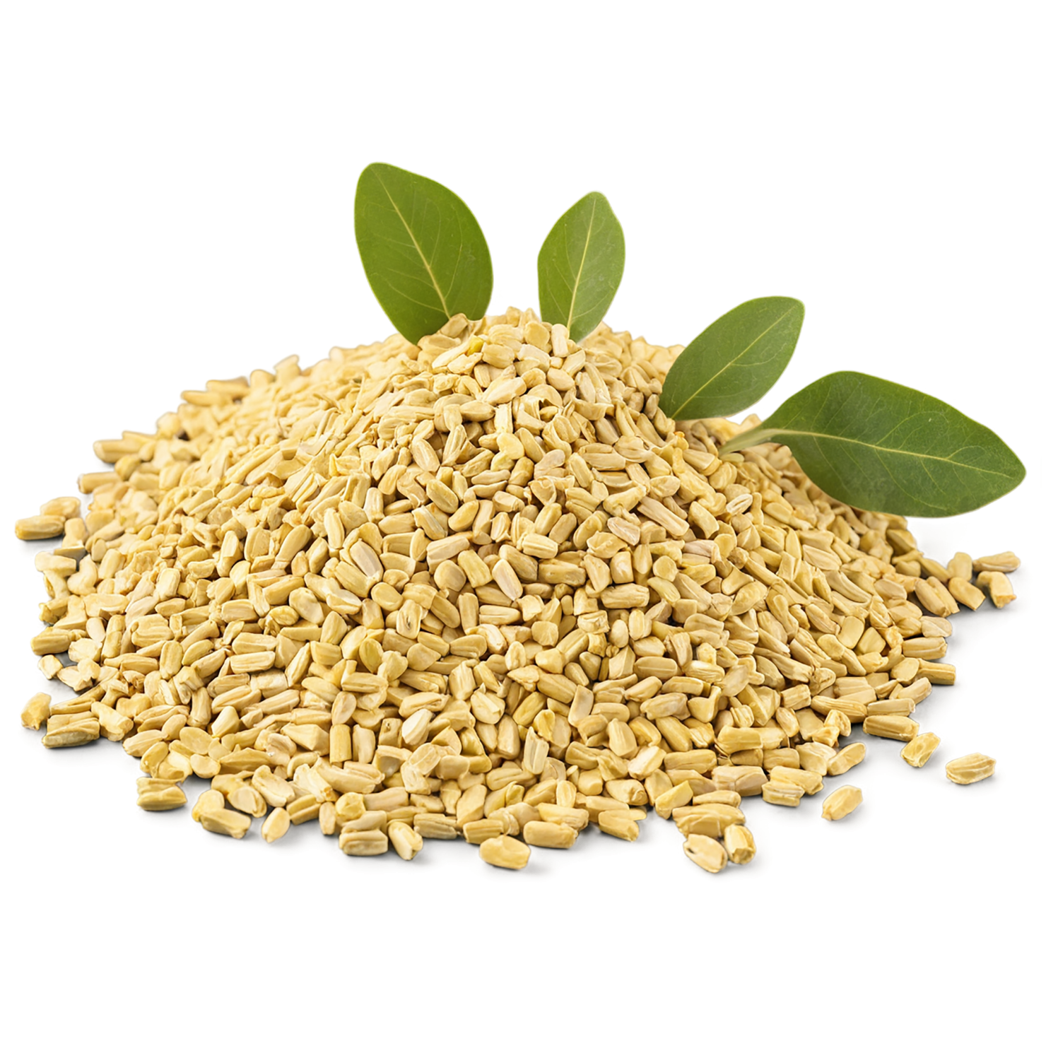 Fenugreek spices isolated on transparent background #9783