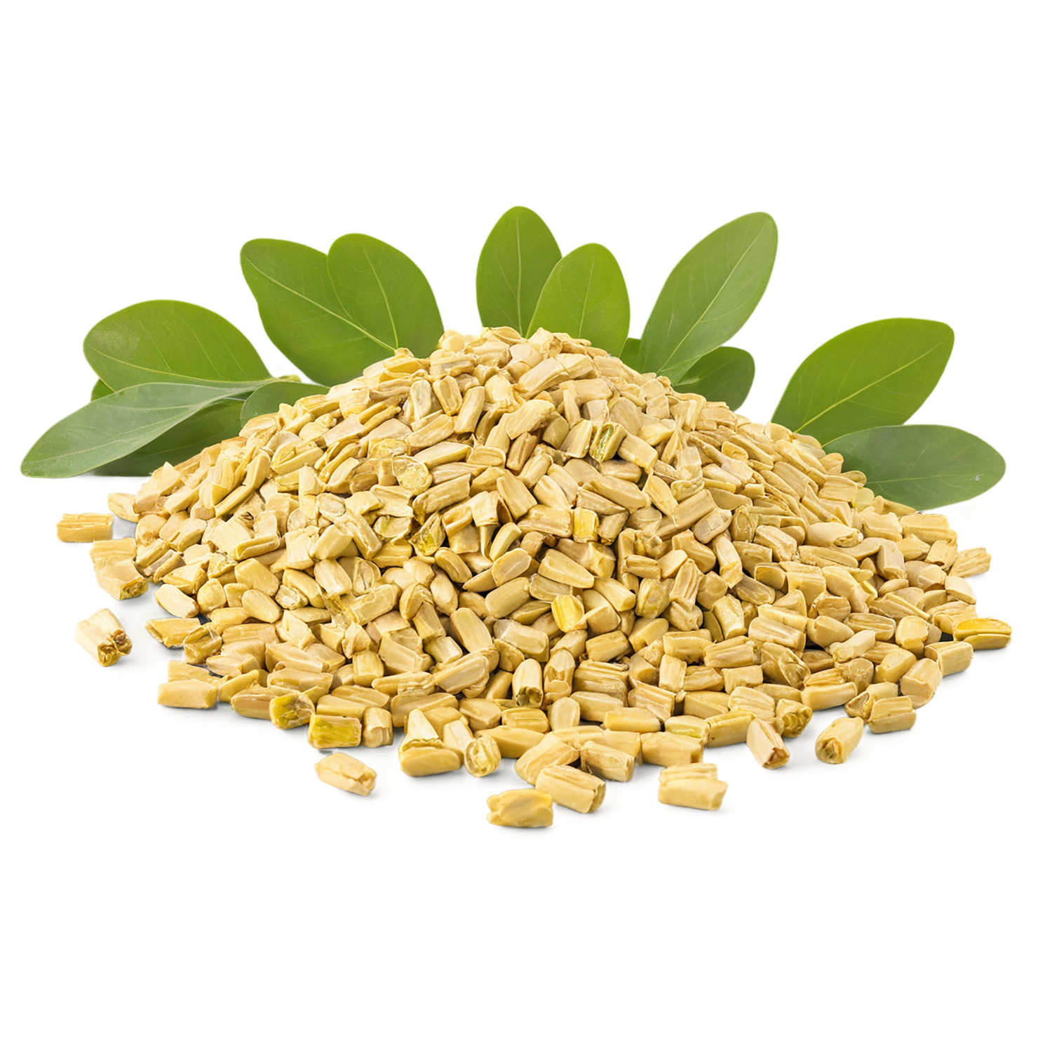 Fenugreek spices isolated on transparent background #9794