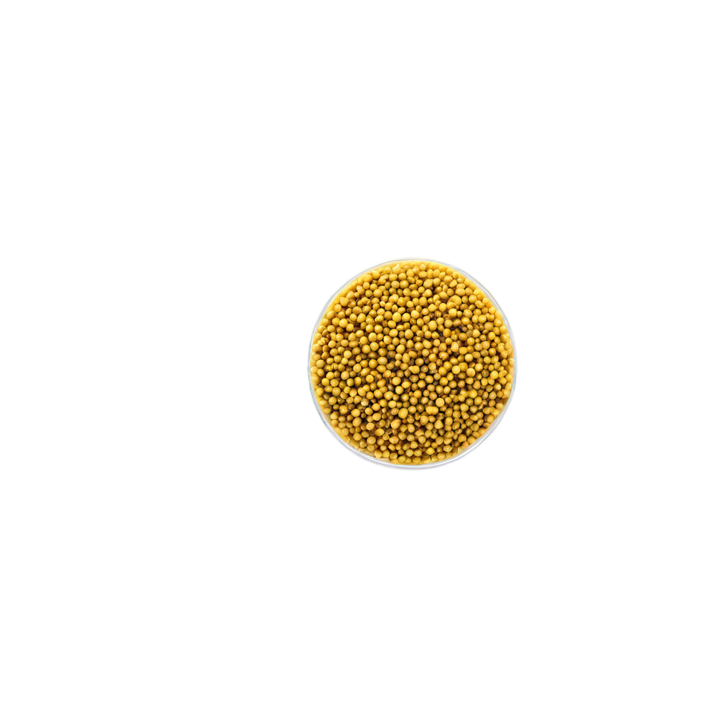 Mustard seeds spices isolated on transparent background #9826