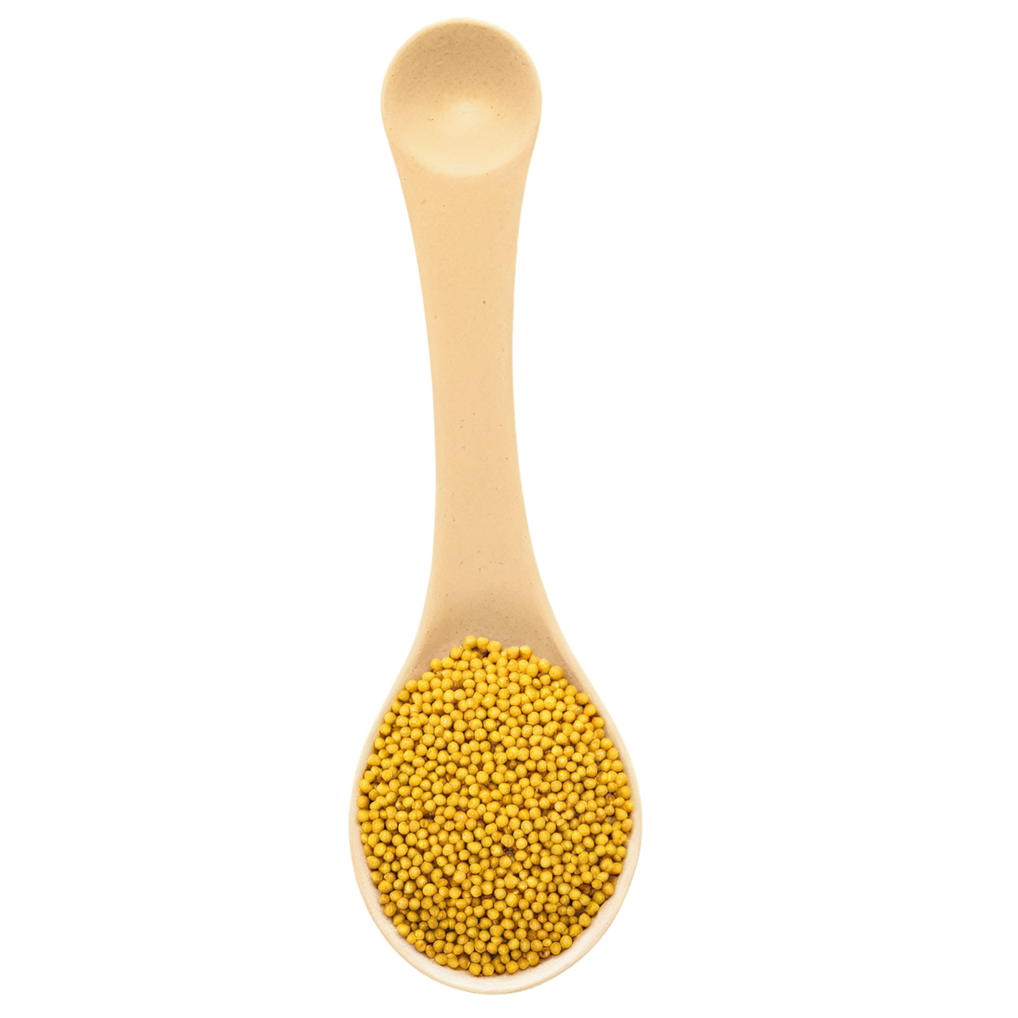 Mustard seeds spices isolated on transparent background #9827