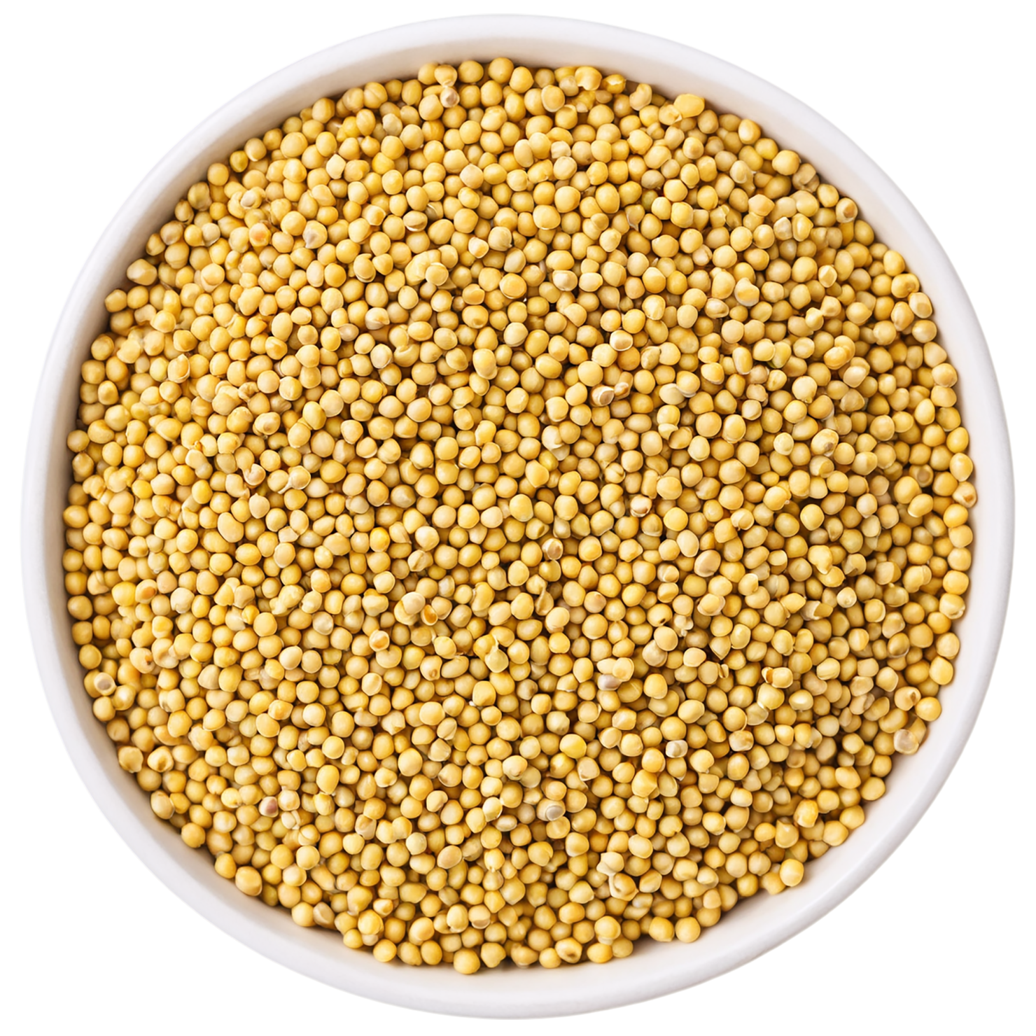 Mustard seeds spices isolated on transparent background #9830