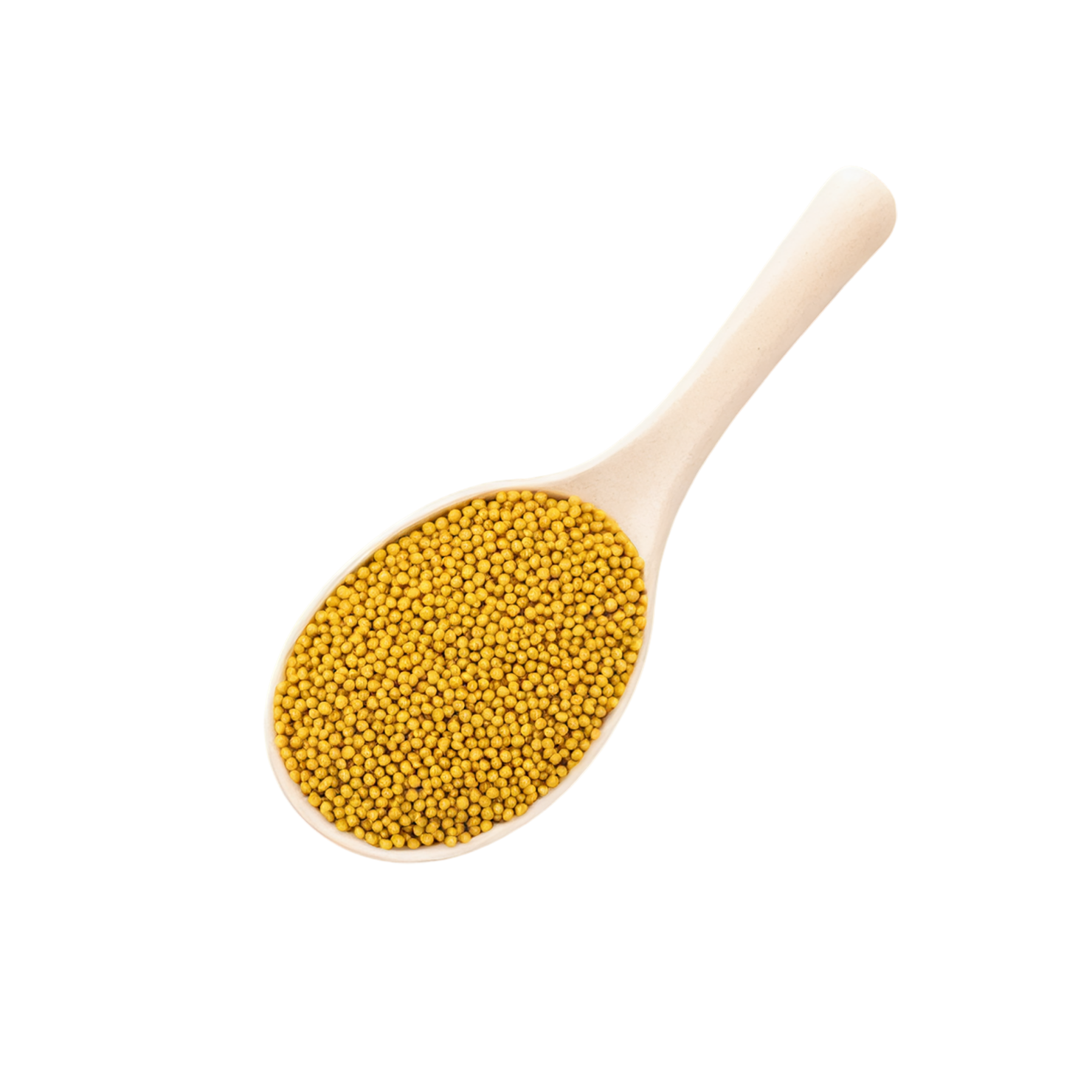 Mustard seeds spices isolated on transparent background #9832