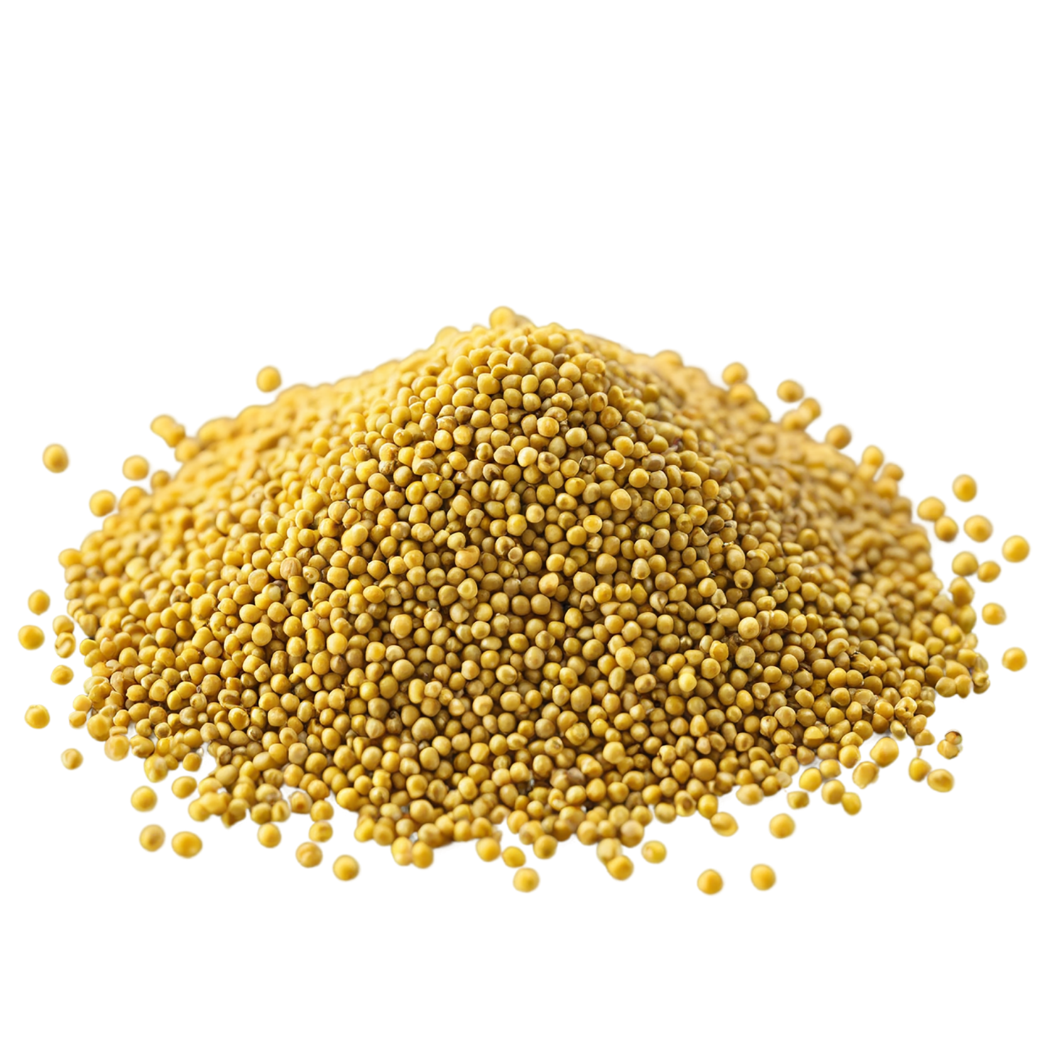 Mustard seeds spices isolated on transparent background #9833