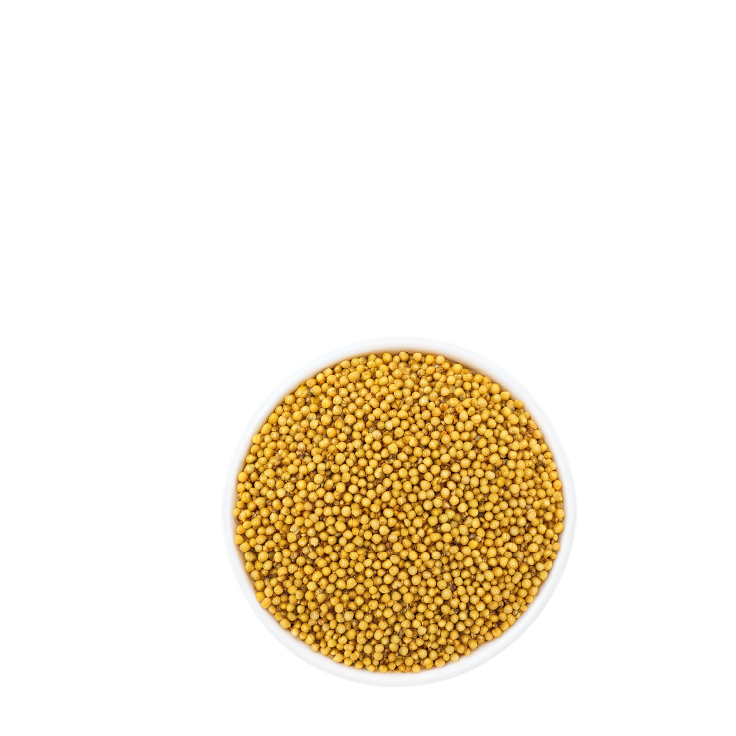 Mustard seeds spices isolated on transparent background #9834