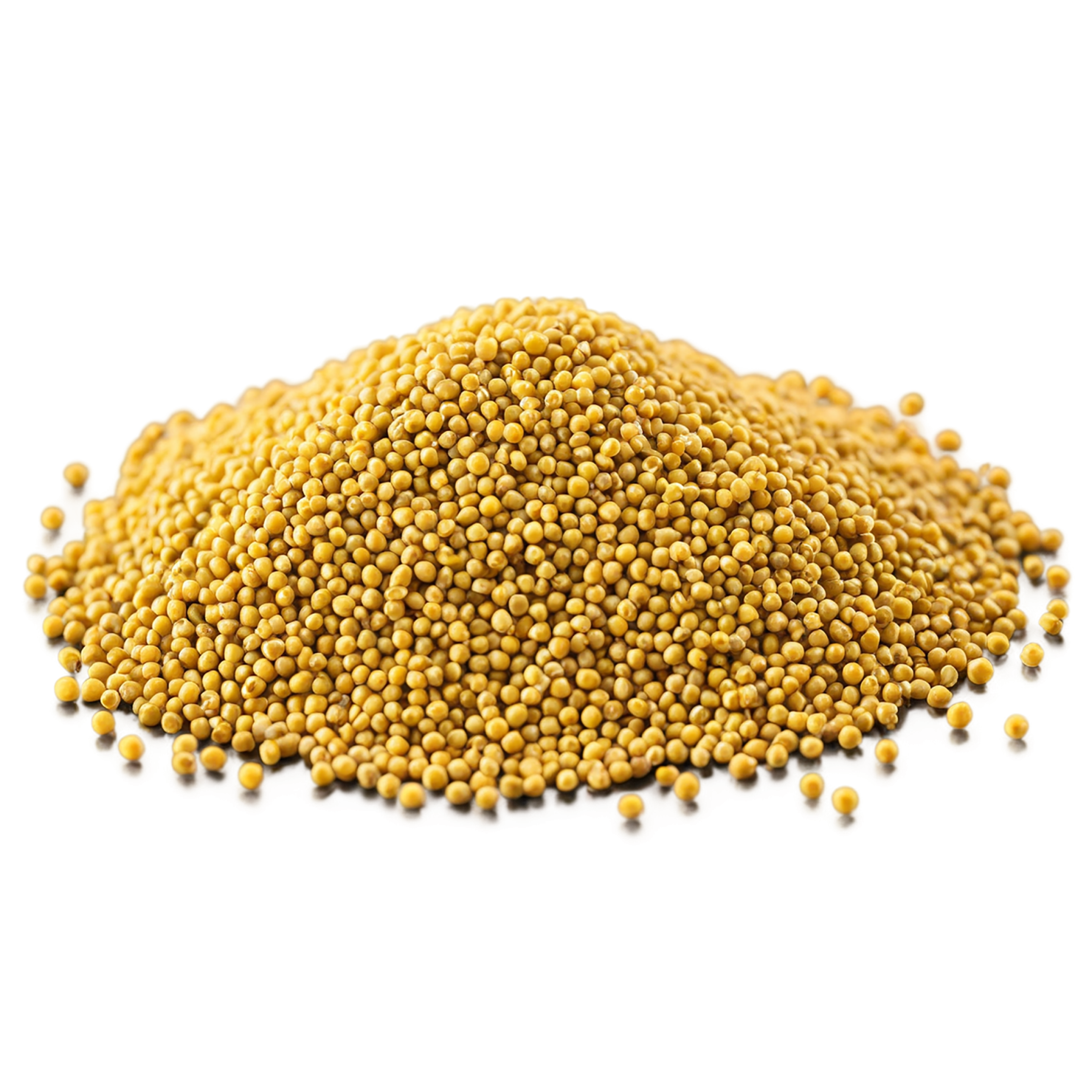 Mustard seeds spices isolated on transparent background #9835