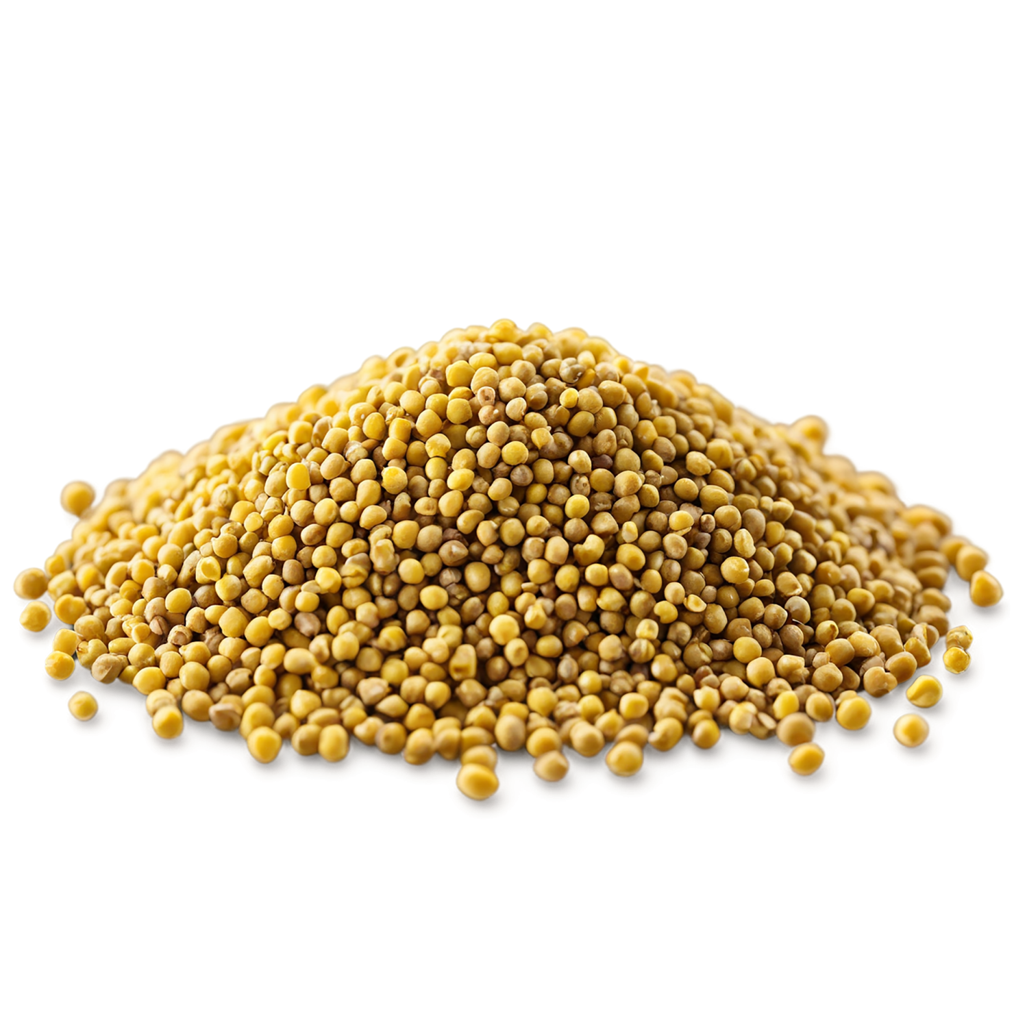 Mustard seeds spices isolated on transparent background #9836