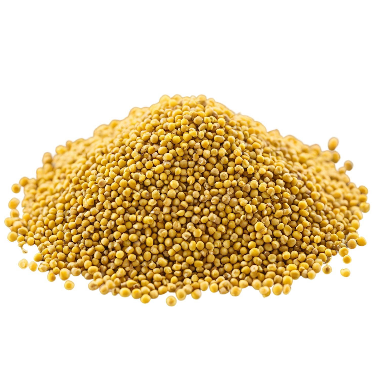 Mustard seeds spices isolated on transparent background #9837