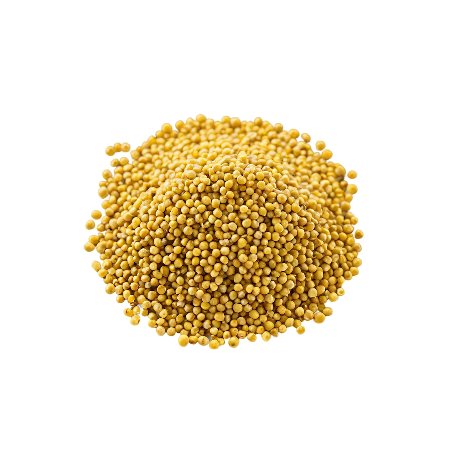 Mustard seeds spices isolated on transparent background #9838